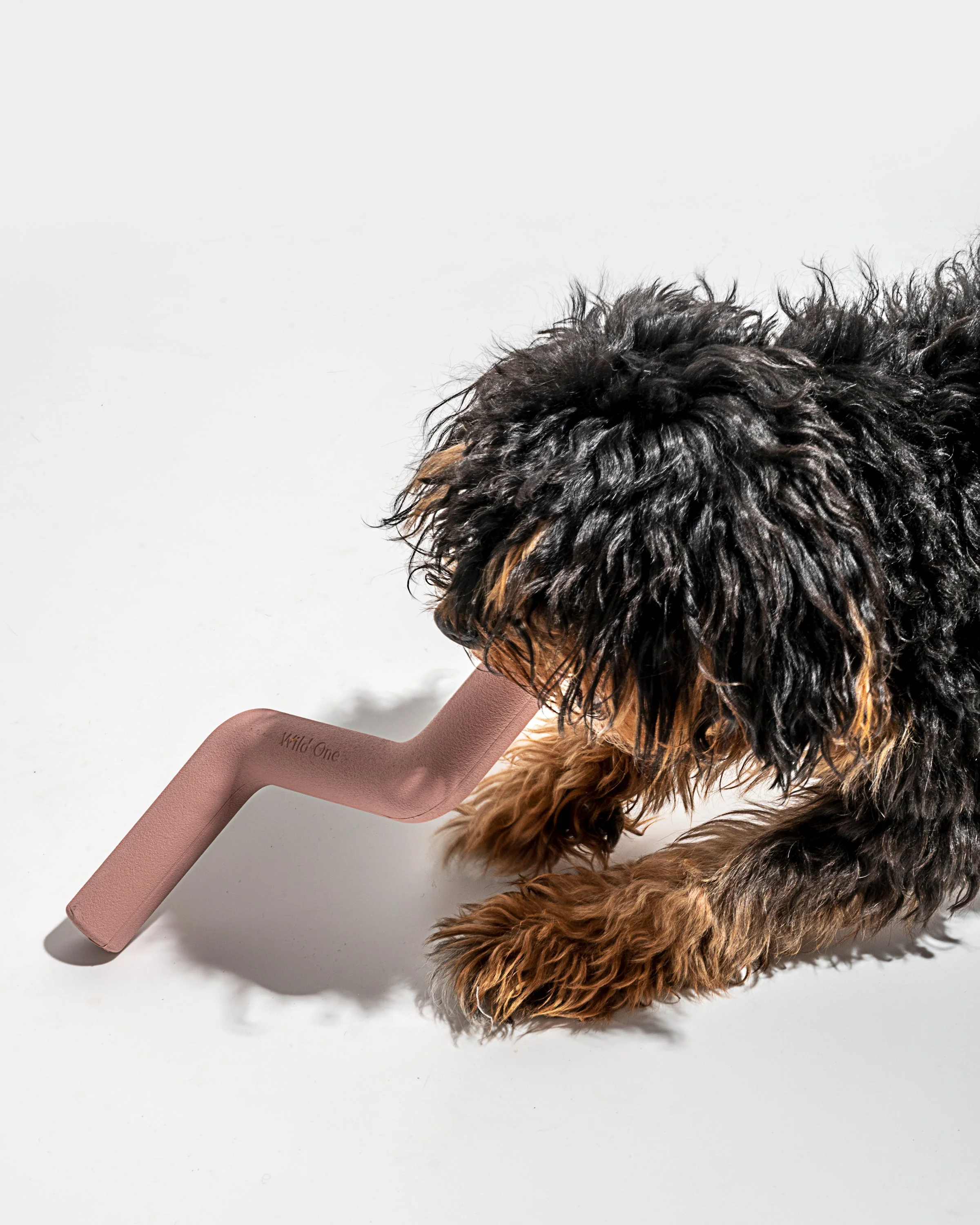 Bolt Bite - Image 18