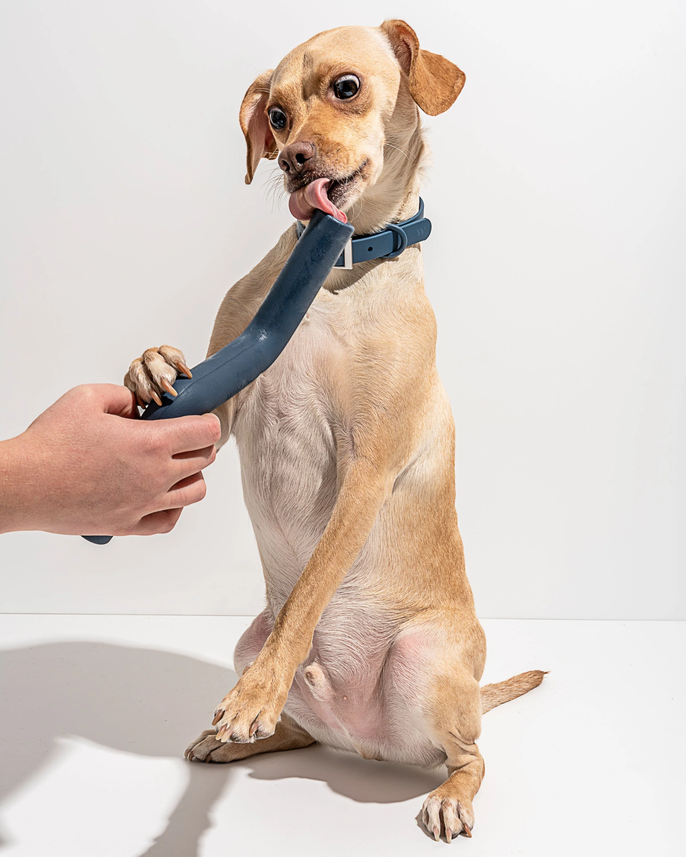 Bolt Bite - Image 23