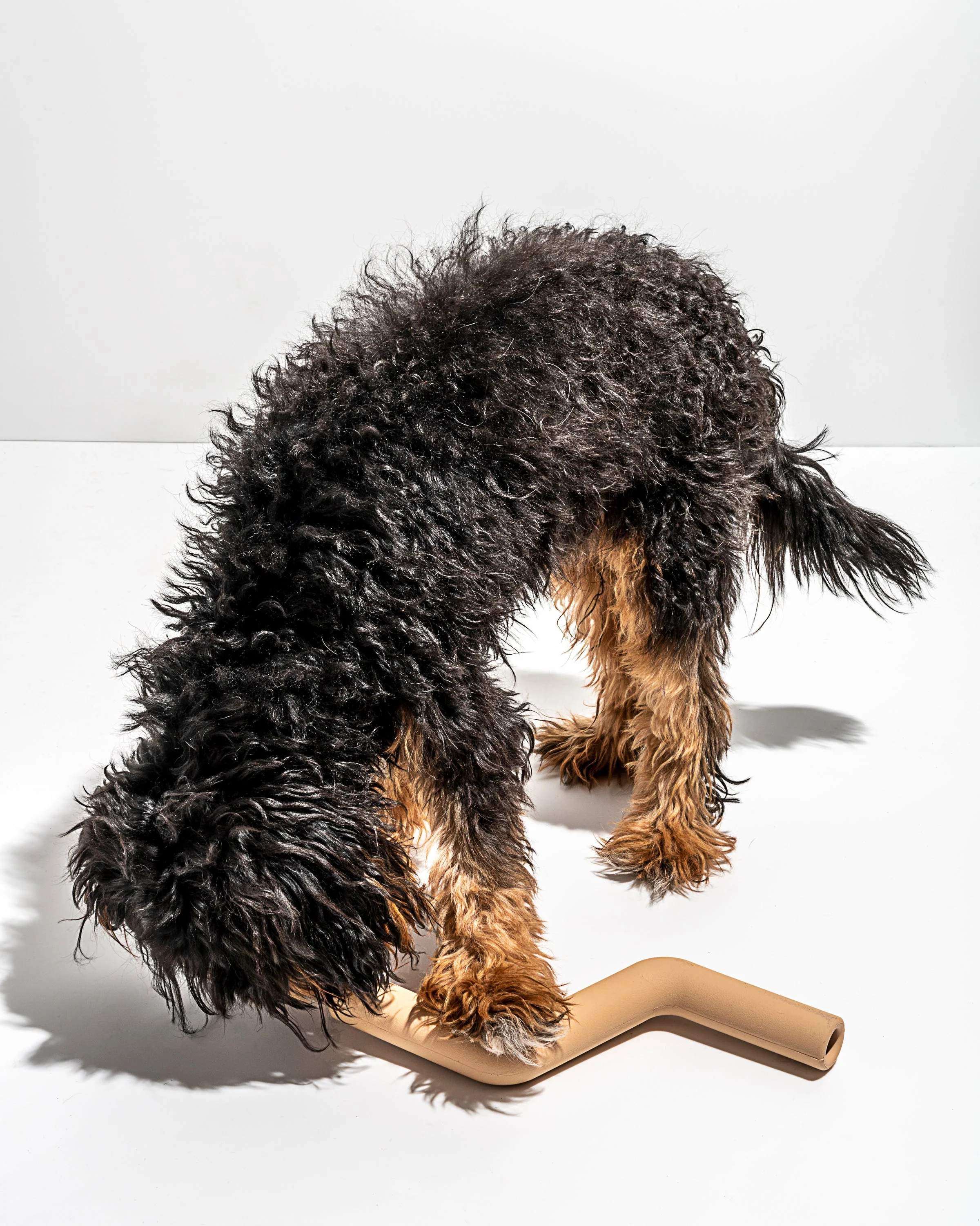 Bolt Bite - Image 28