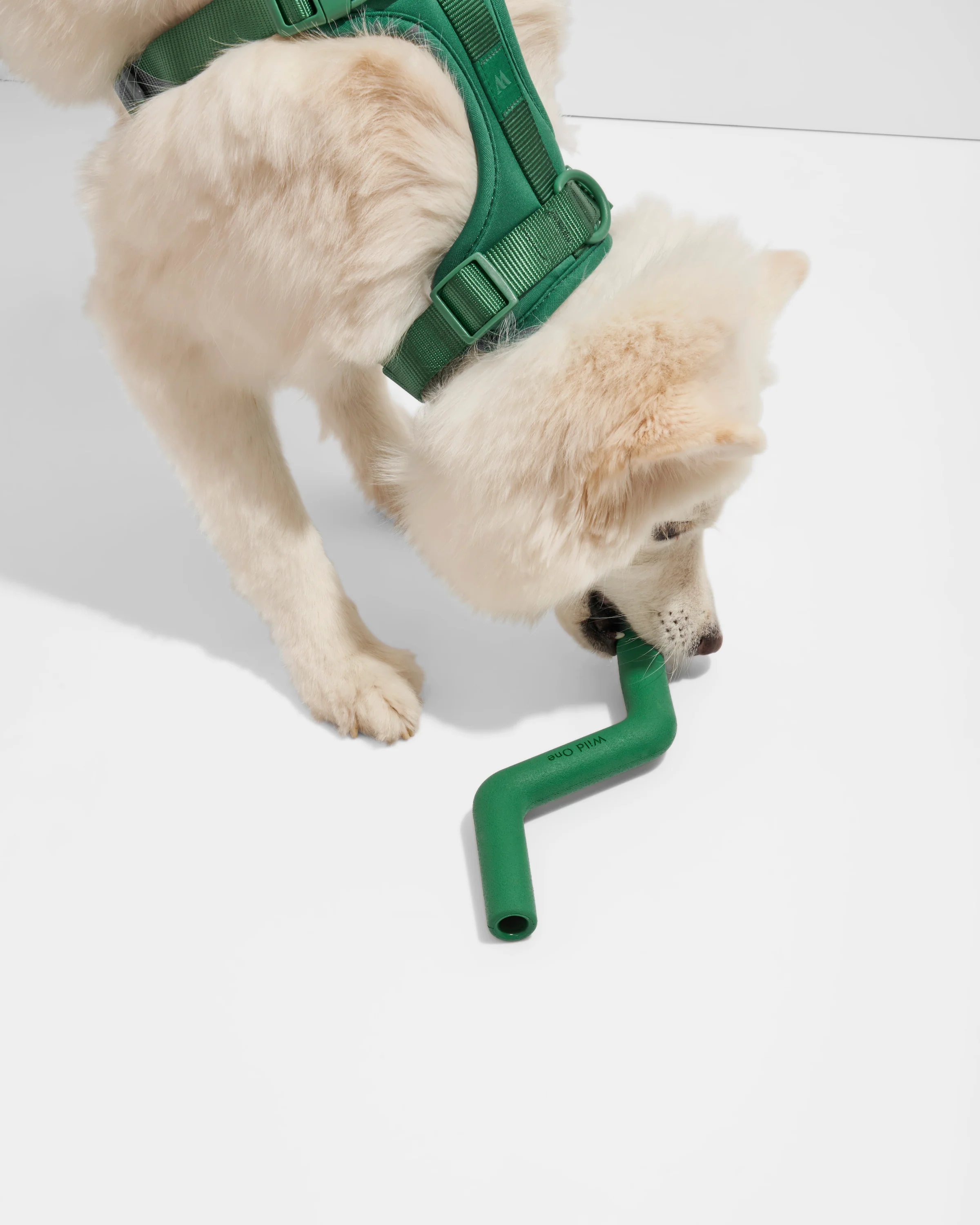 Bolt Bite - Image 32