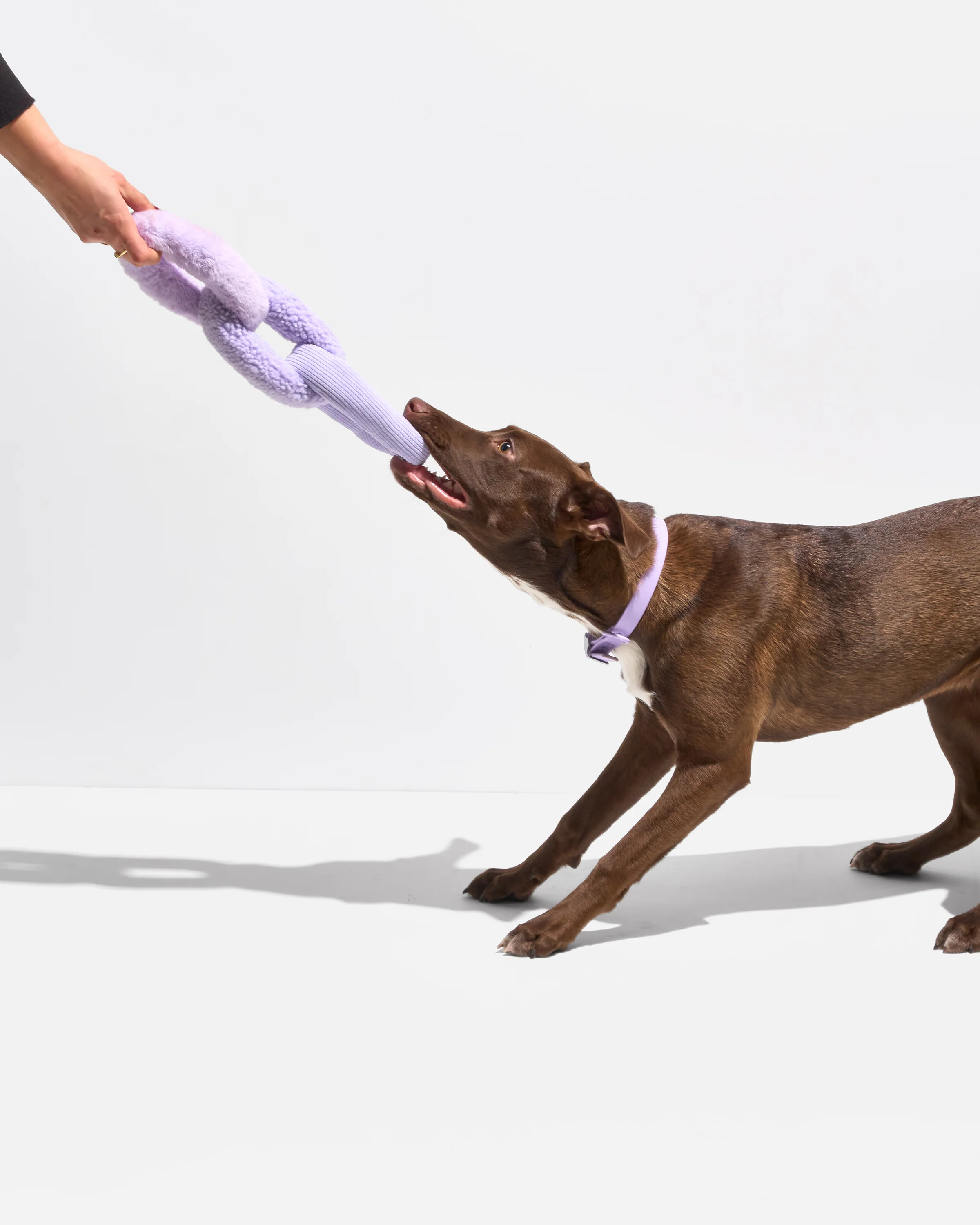 Chew Chain - Image 3