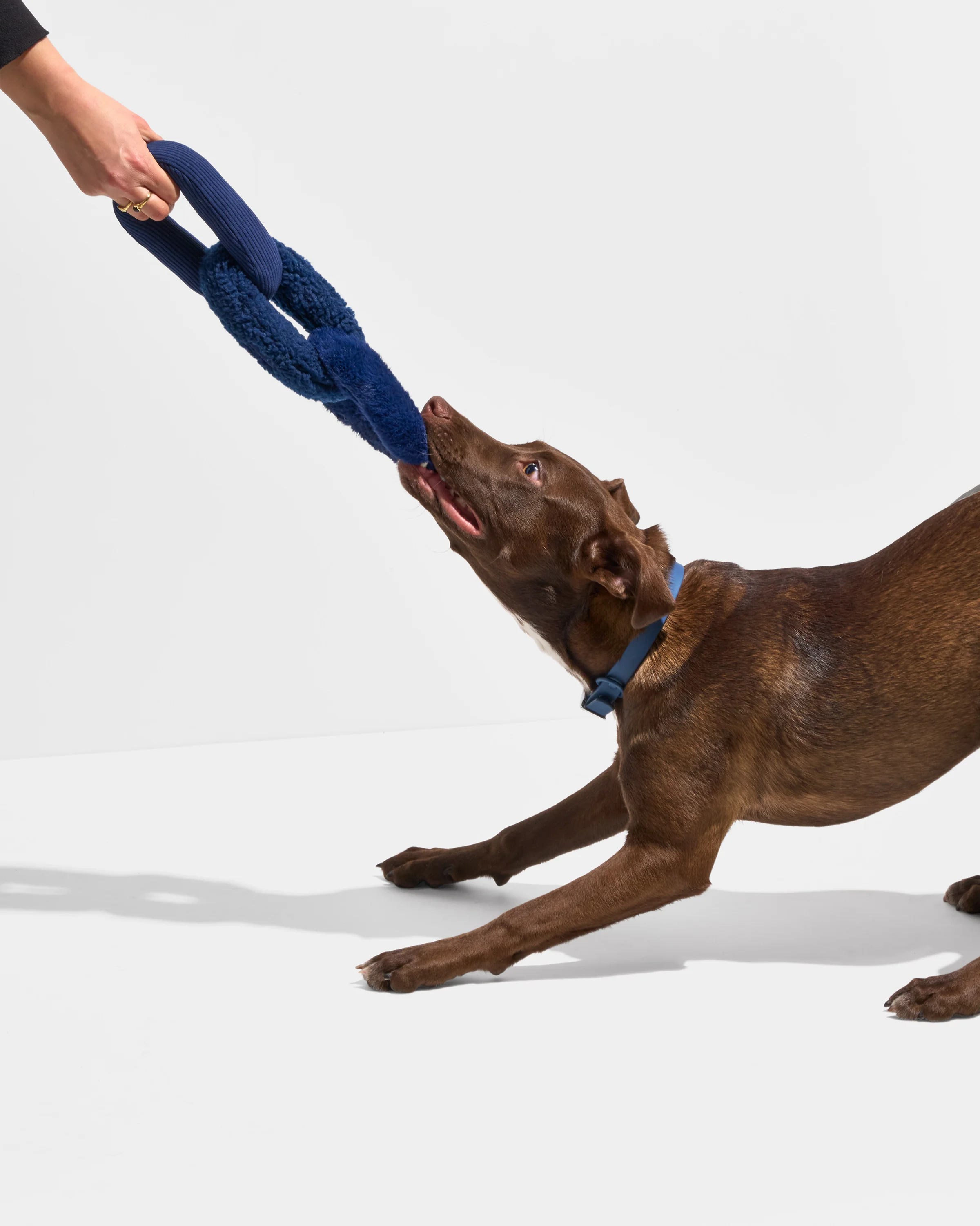 Chew Chain - Image 7