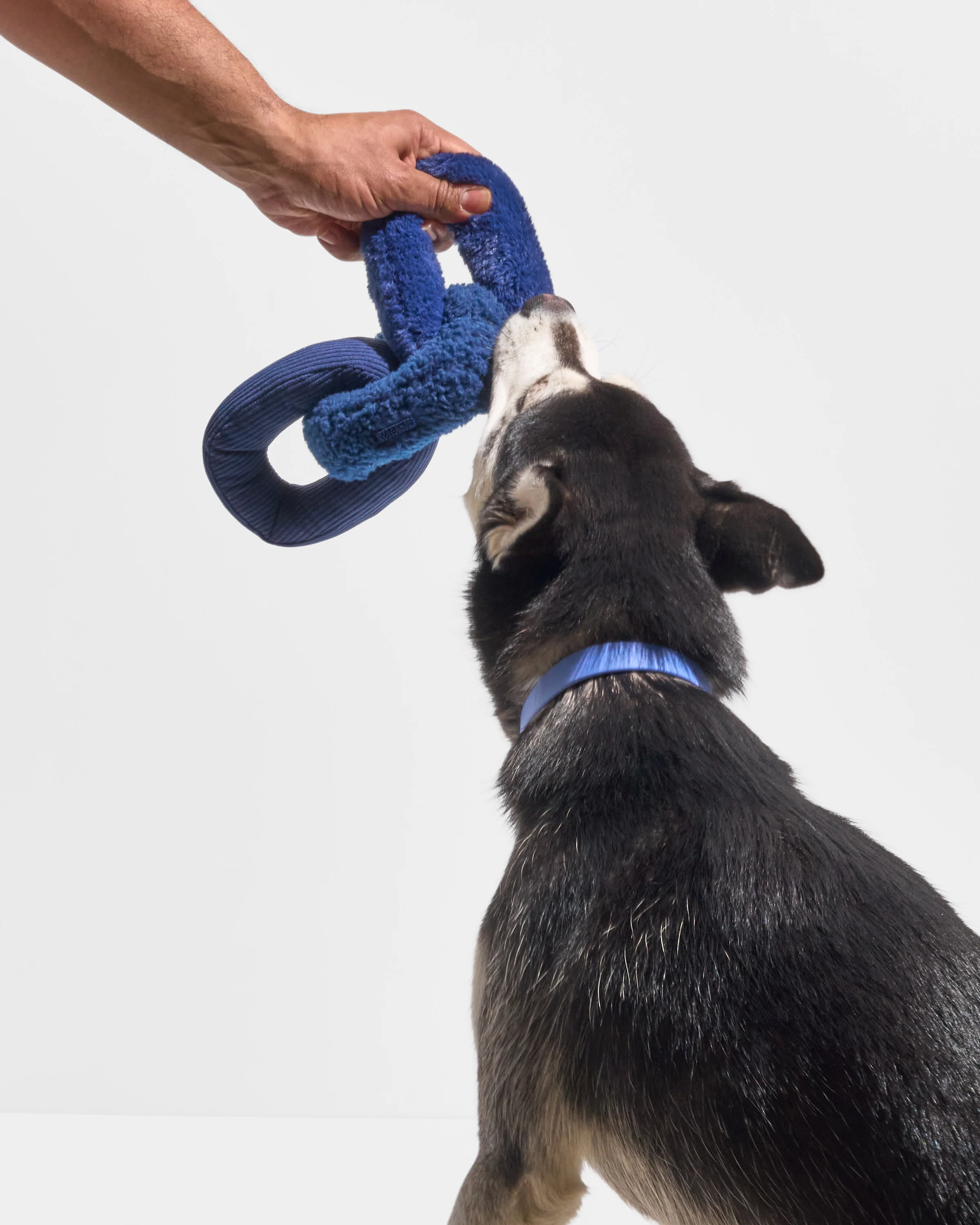 Chew Chain - Image 9