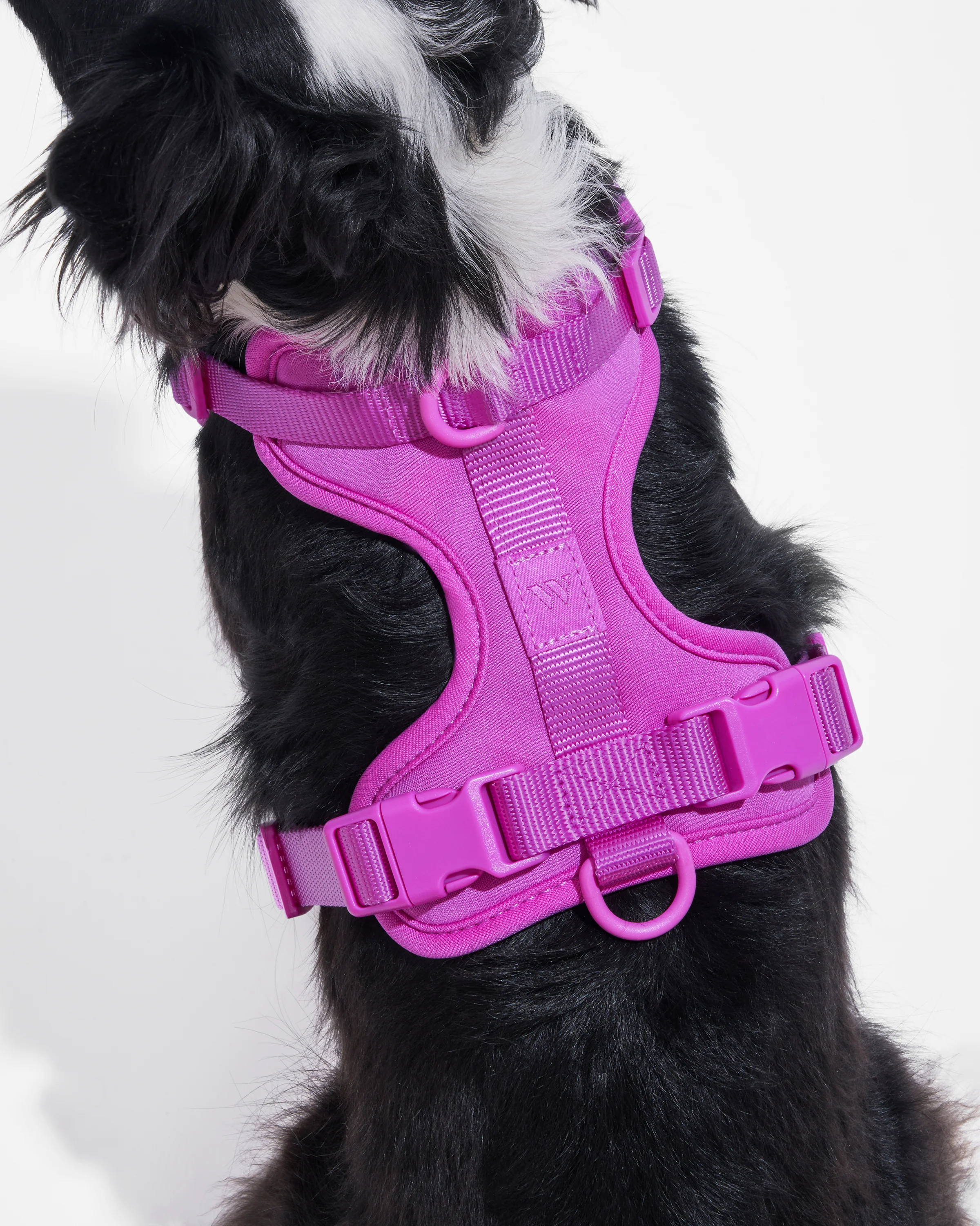 Cushioned Dog Harness - Image 21