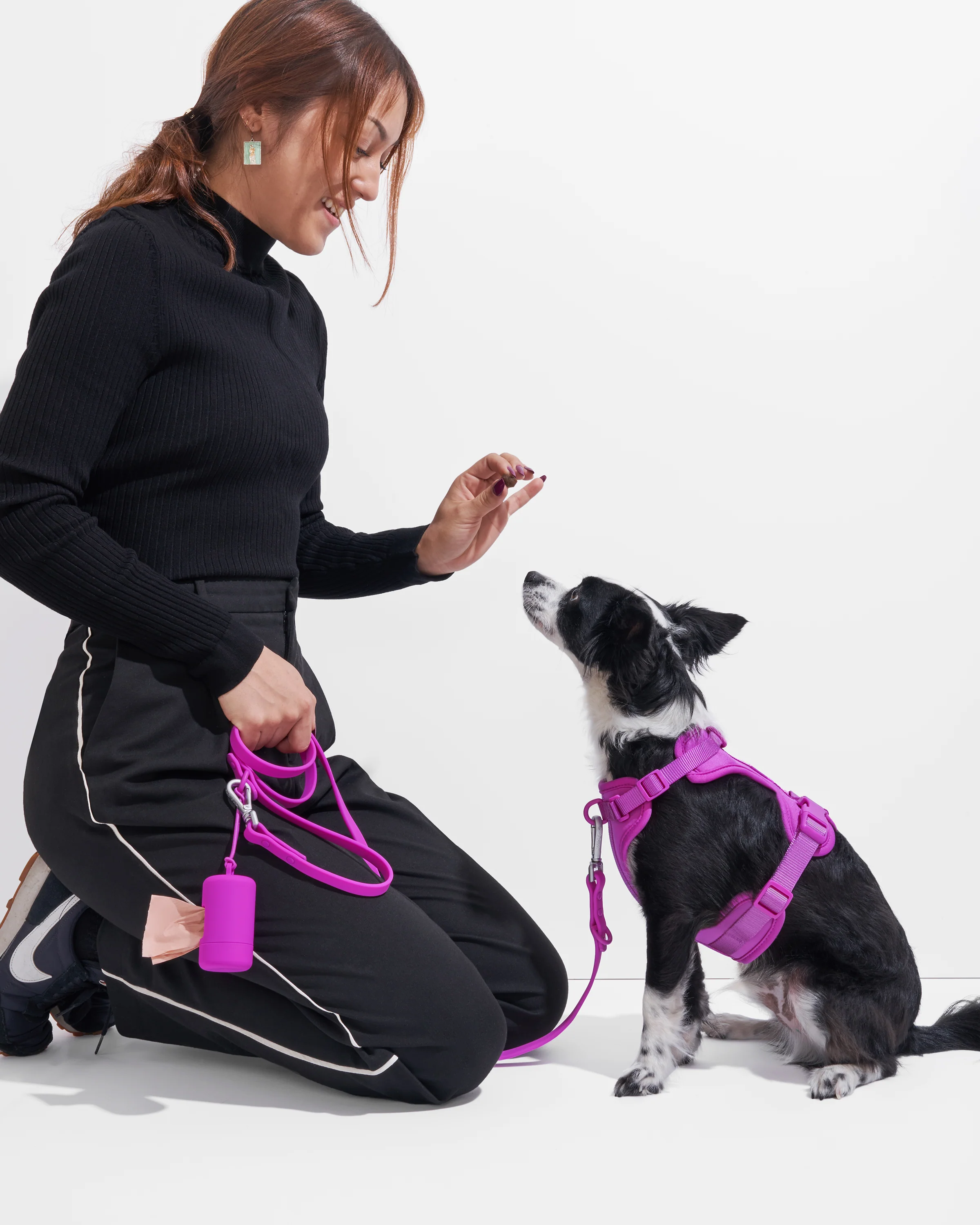 Cushioned Dog Harness - Image 22