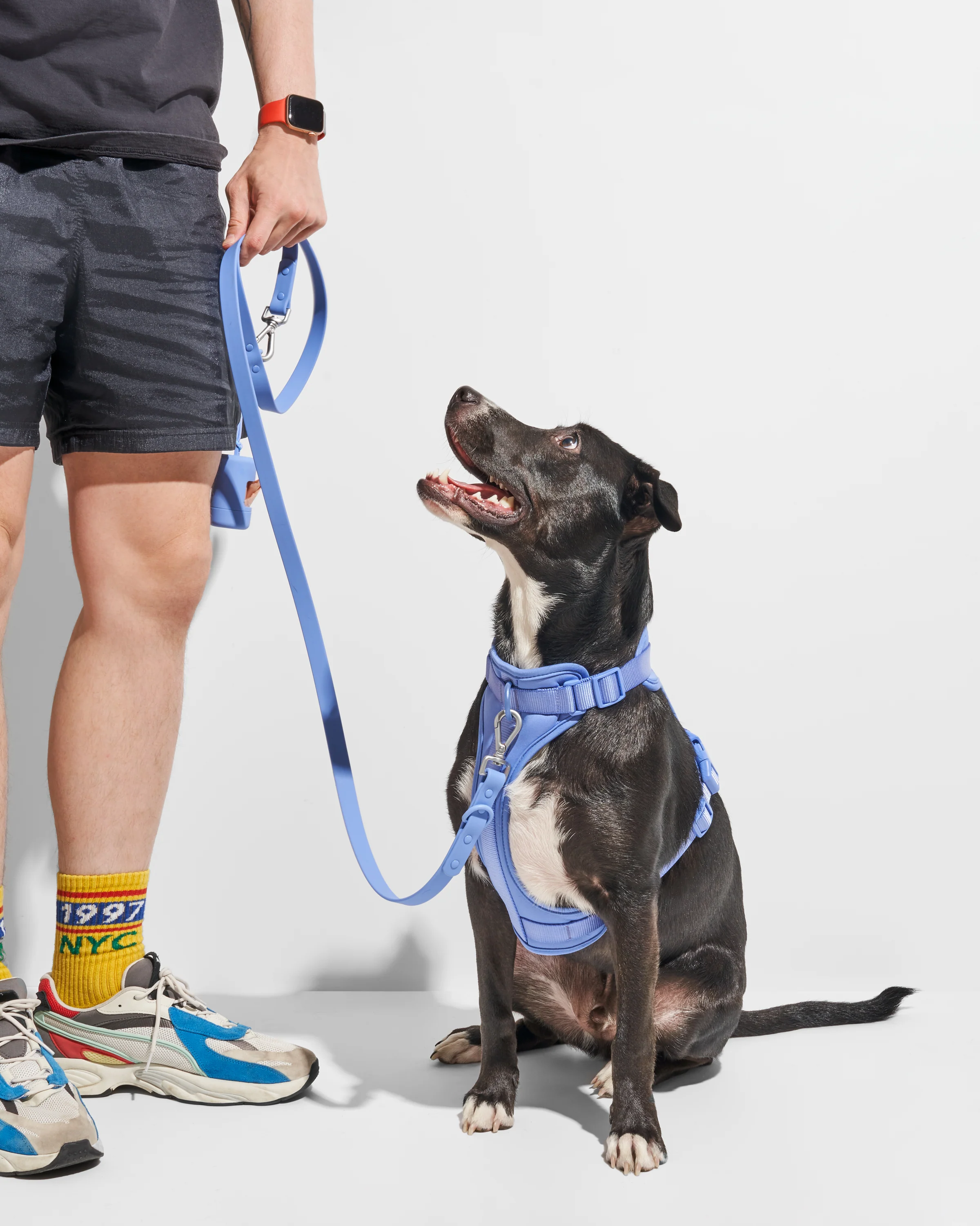 Cushioned Dog Harness - Image 28