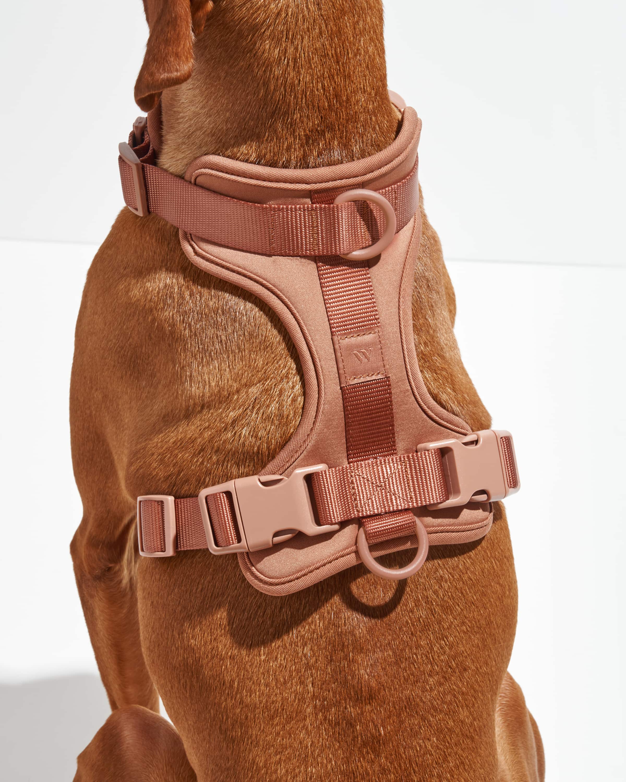 Cushioned Dog Harness - Image 31