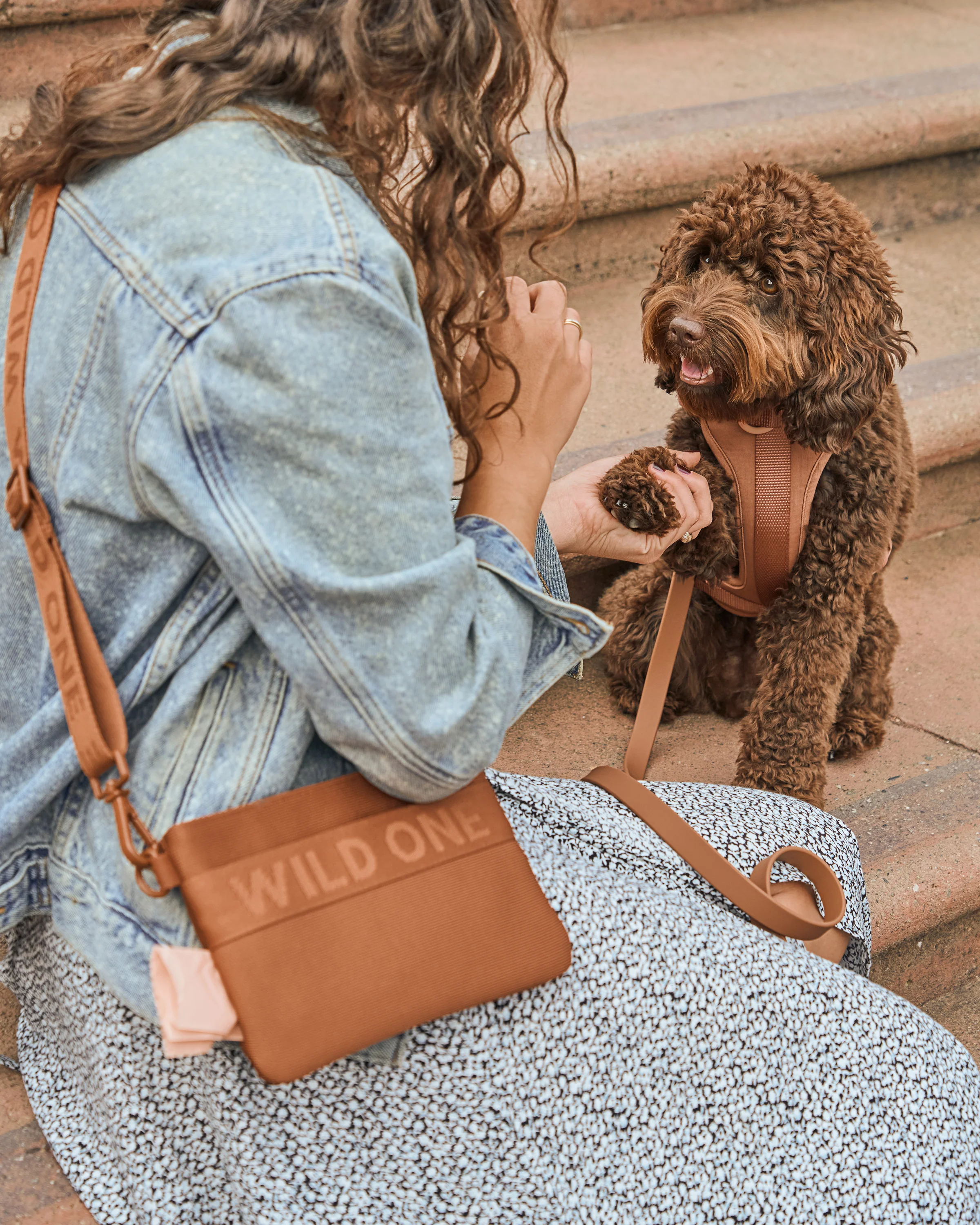 Cushioned Dog Harness - Image 33