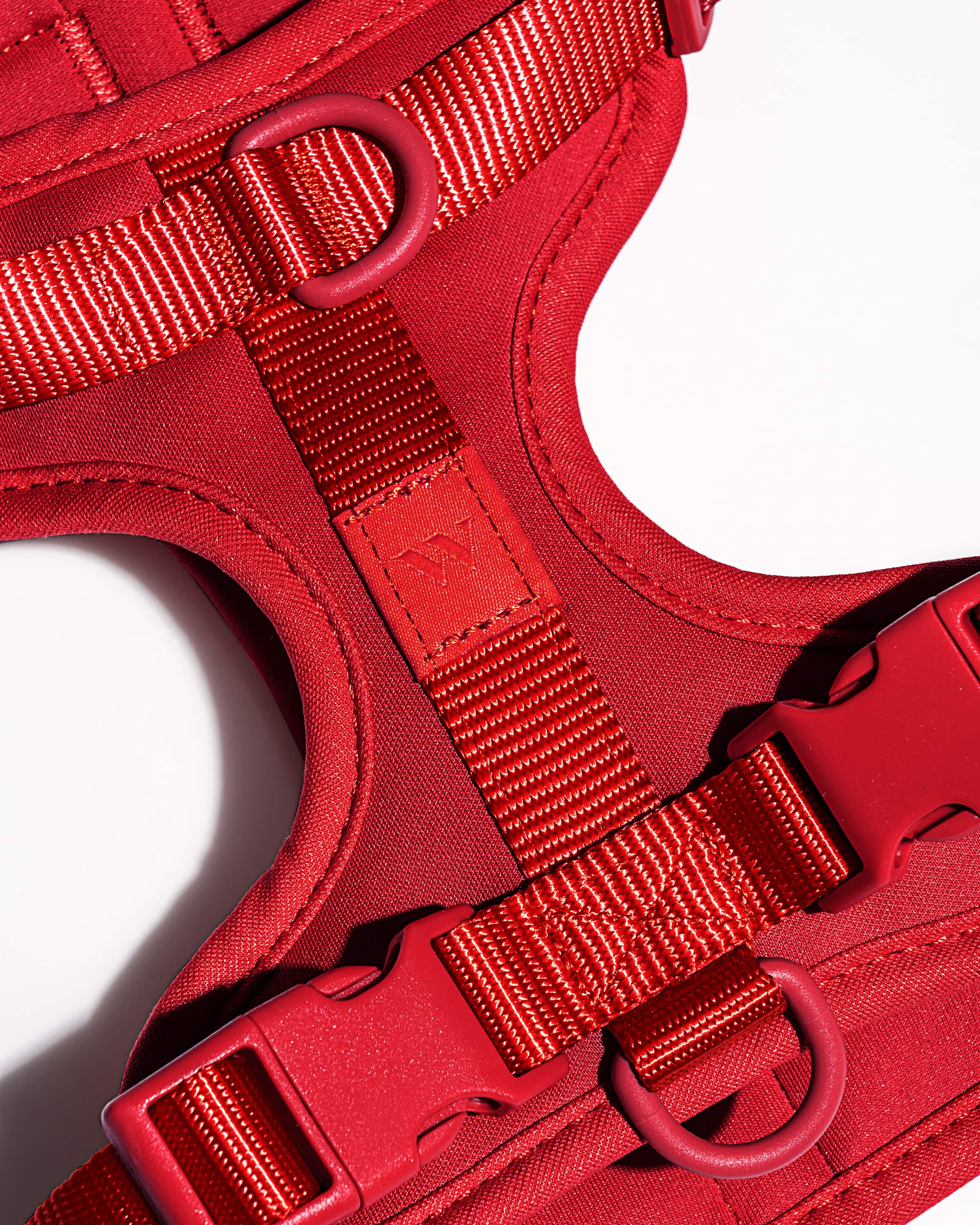 Cushioned Dog Harness - Image 36