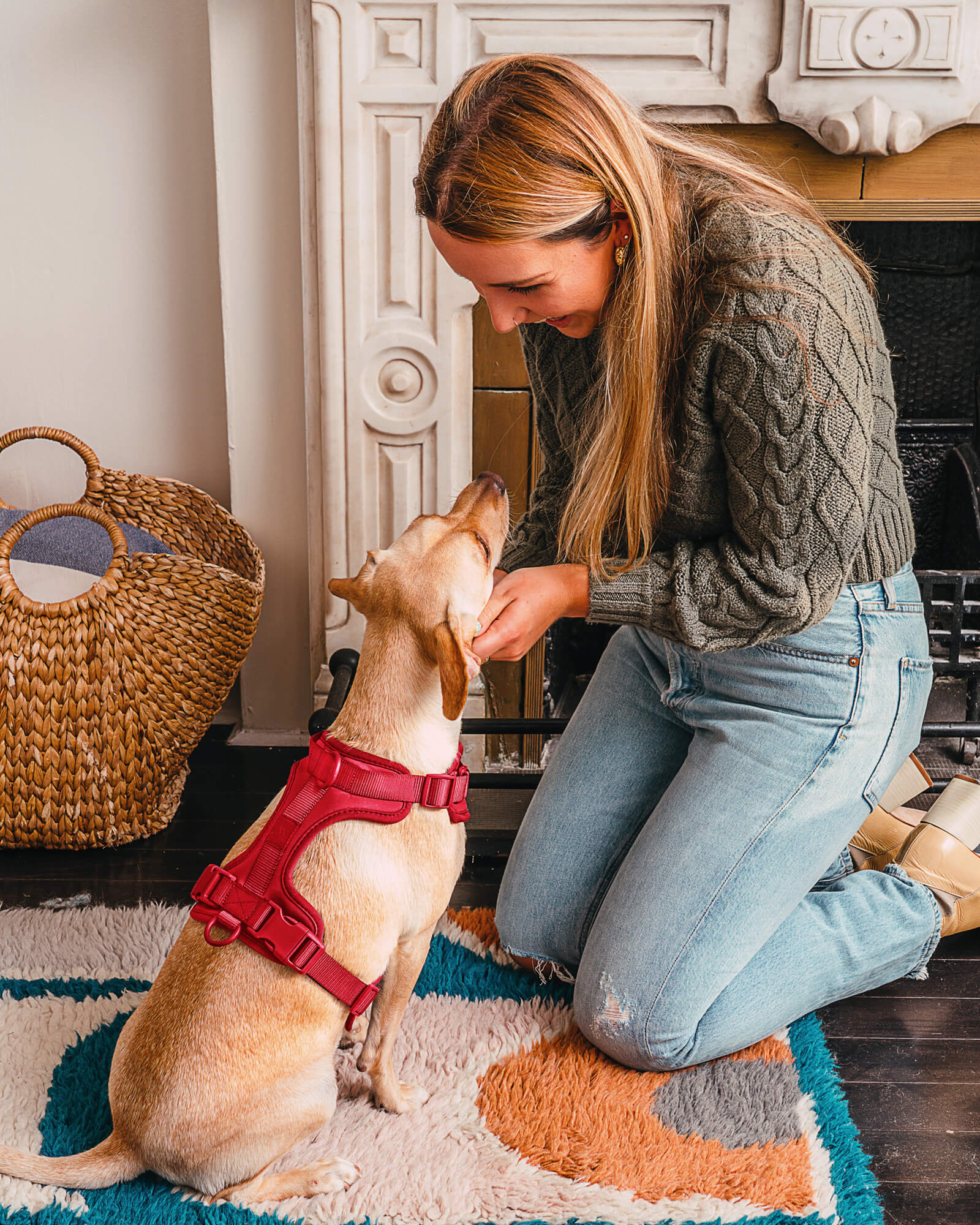 Cushioned Dog Harness - Image 39