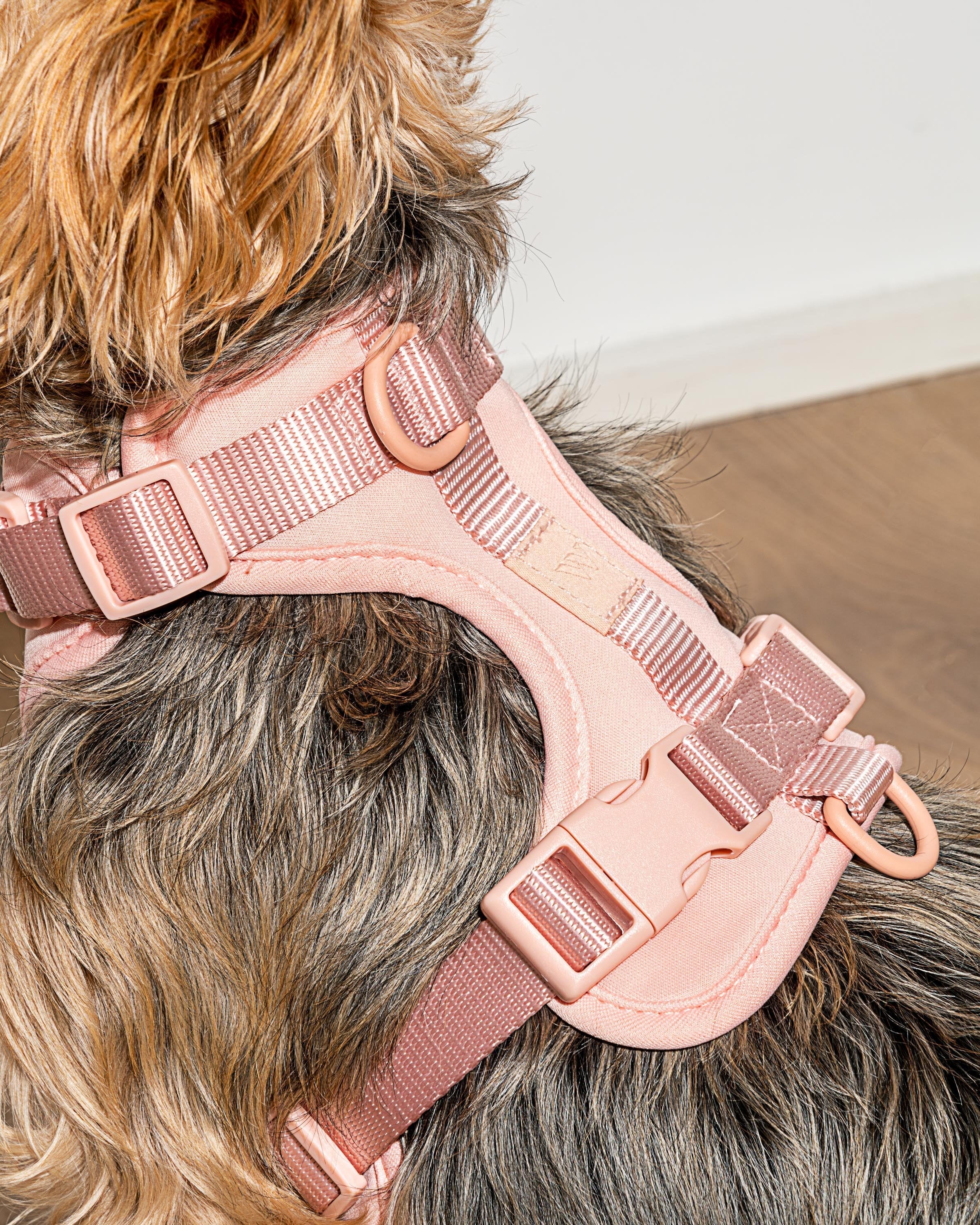 Cushioned Dog Harness - Image 44
