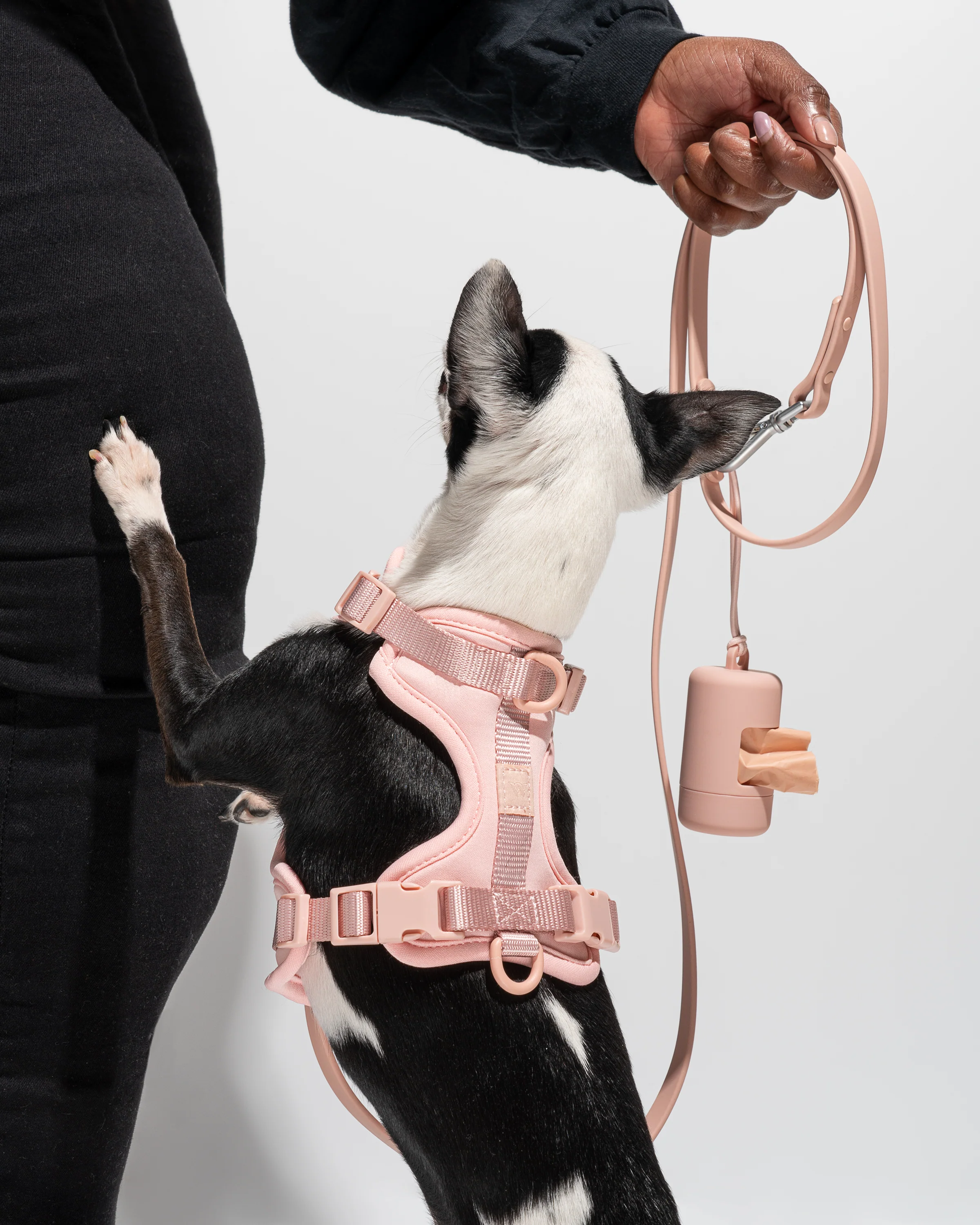 Cushioned Dog Harness - Image 45