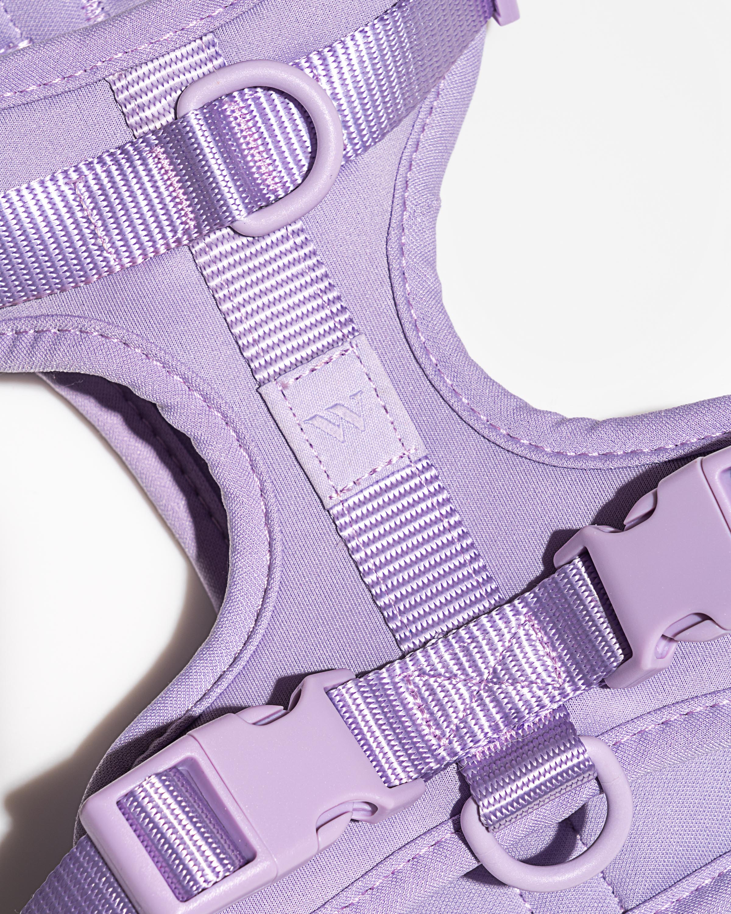 Cushioned Dog Harness - Image 47