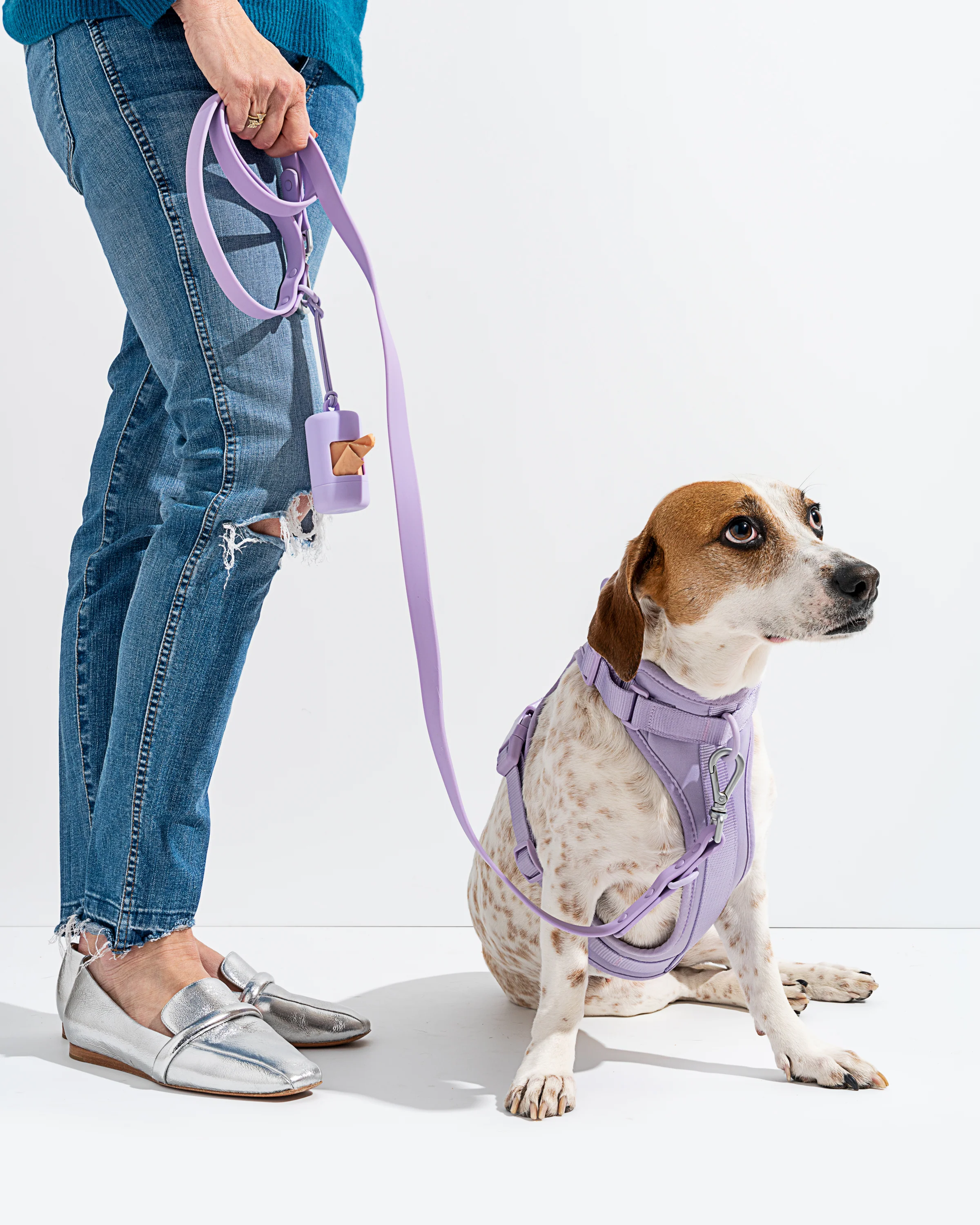 Cushioned Dog Harness - Image 49