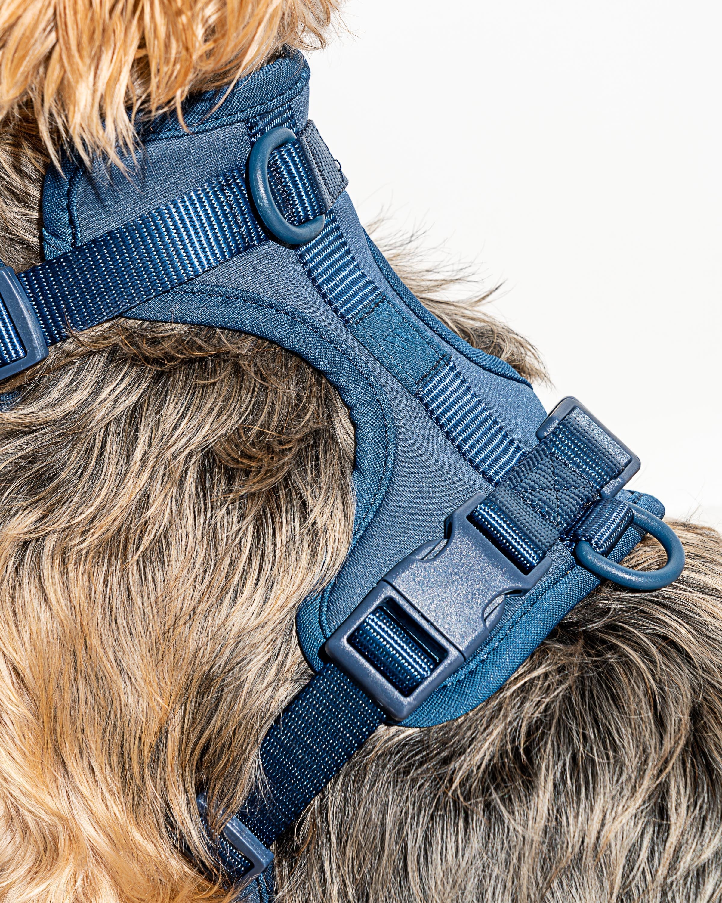 Cushioned Dog Harness - Image 53
