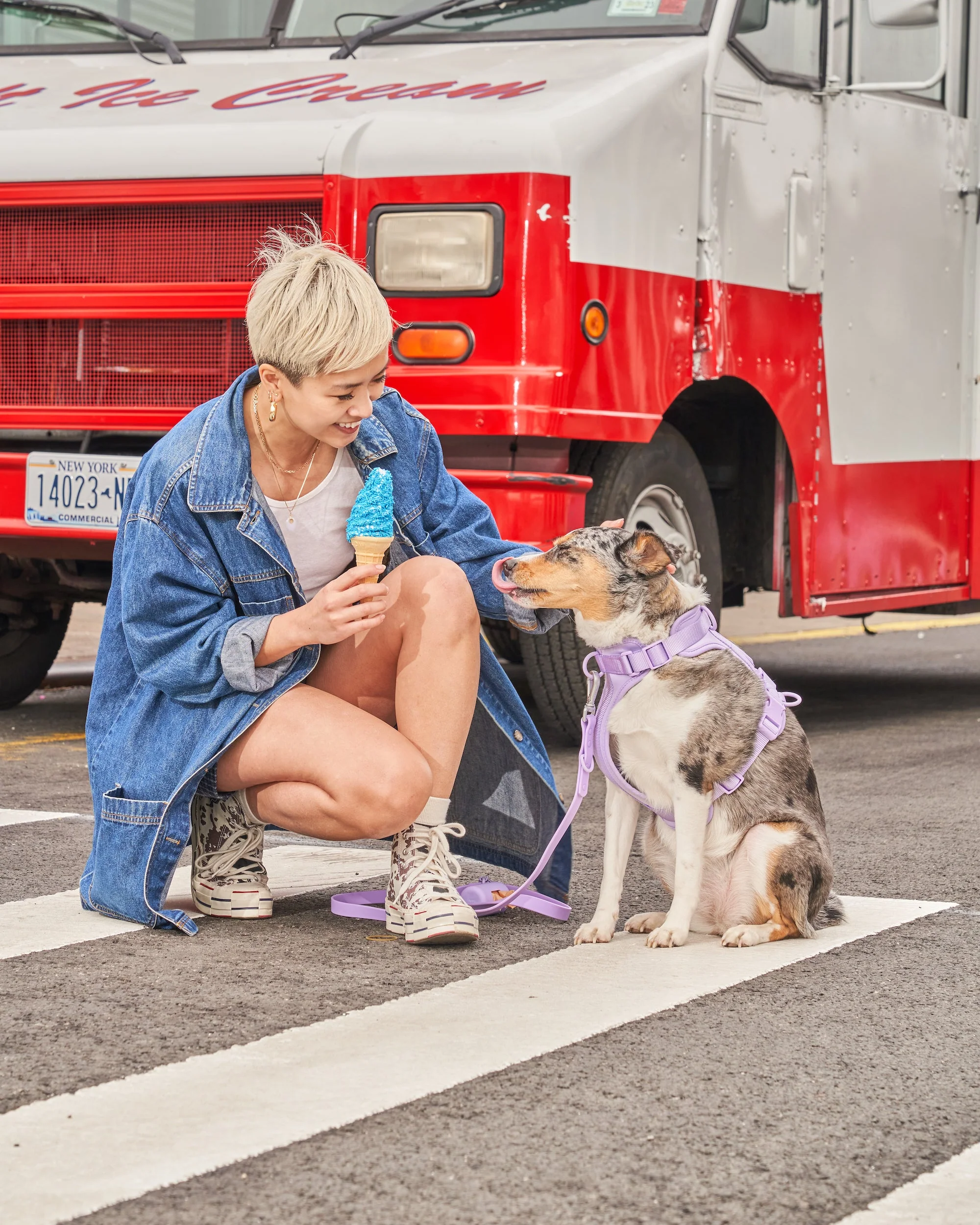 Cushioned Dog Harness - Image 55