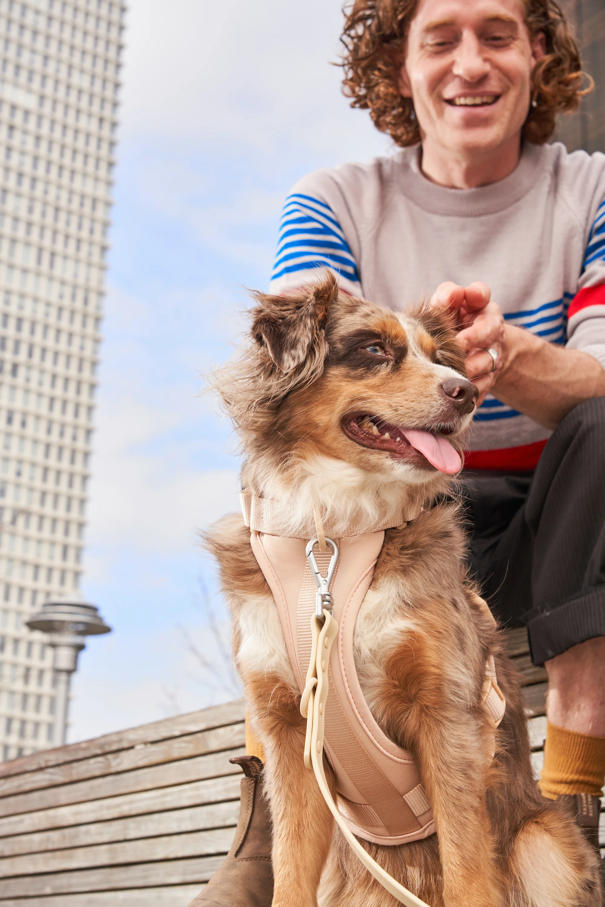 Cushioned Dog Harness - Image 60