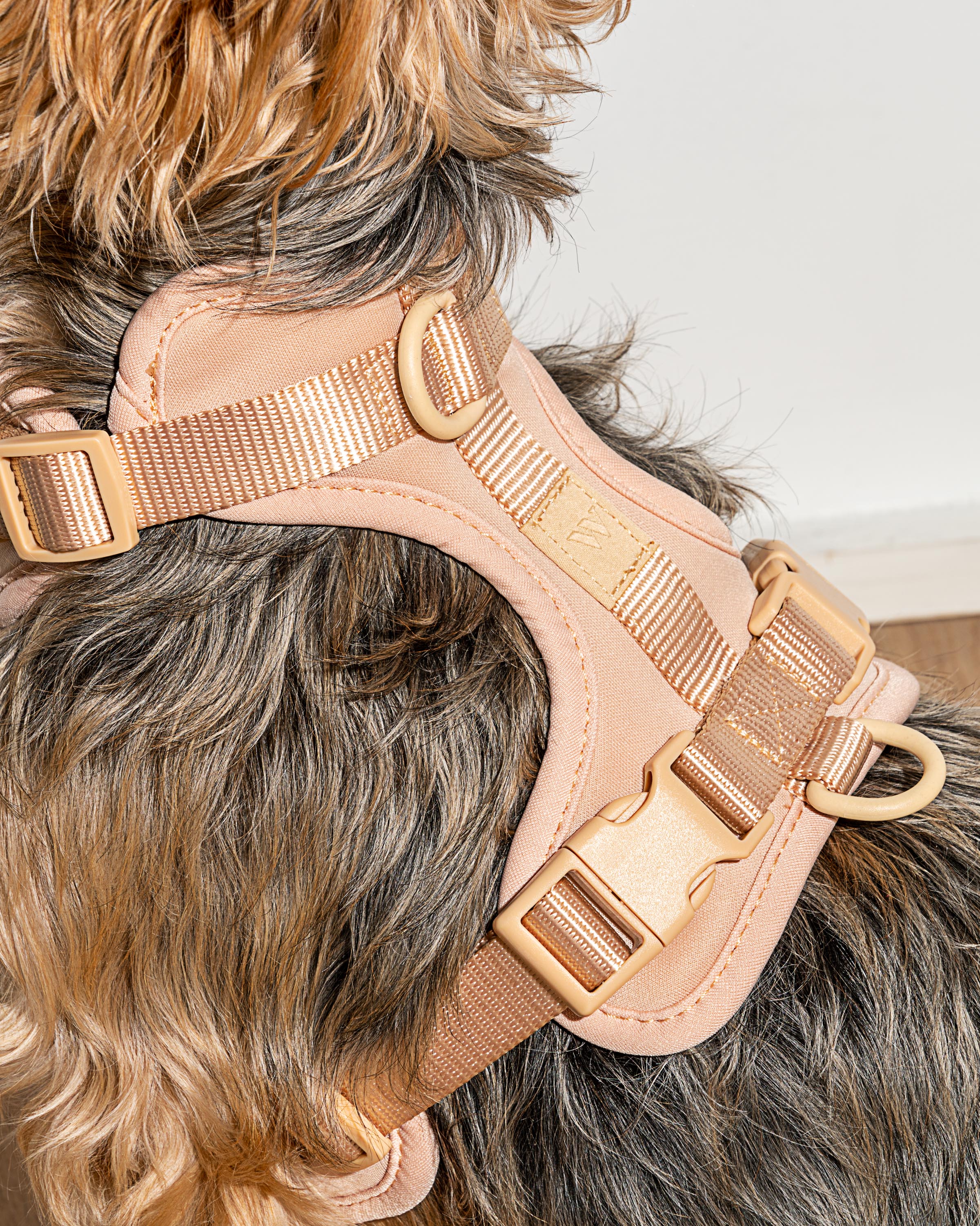 Cushioned Dog Harness - Image 61