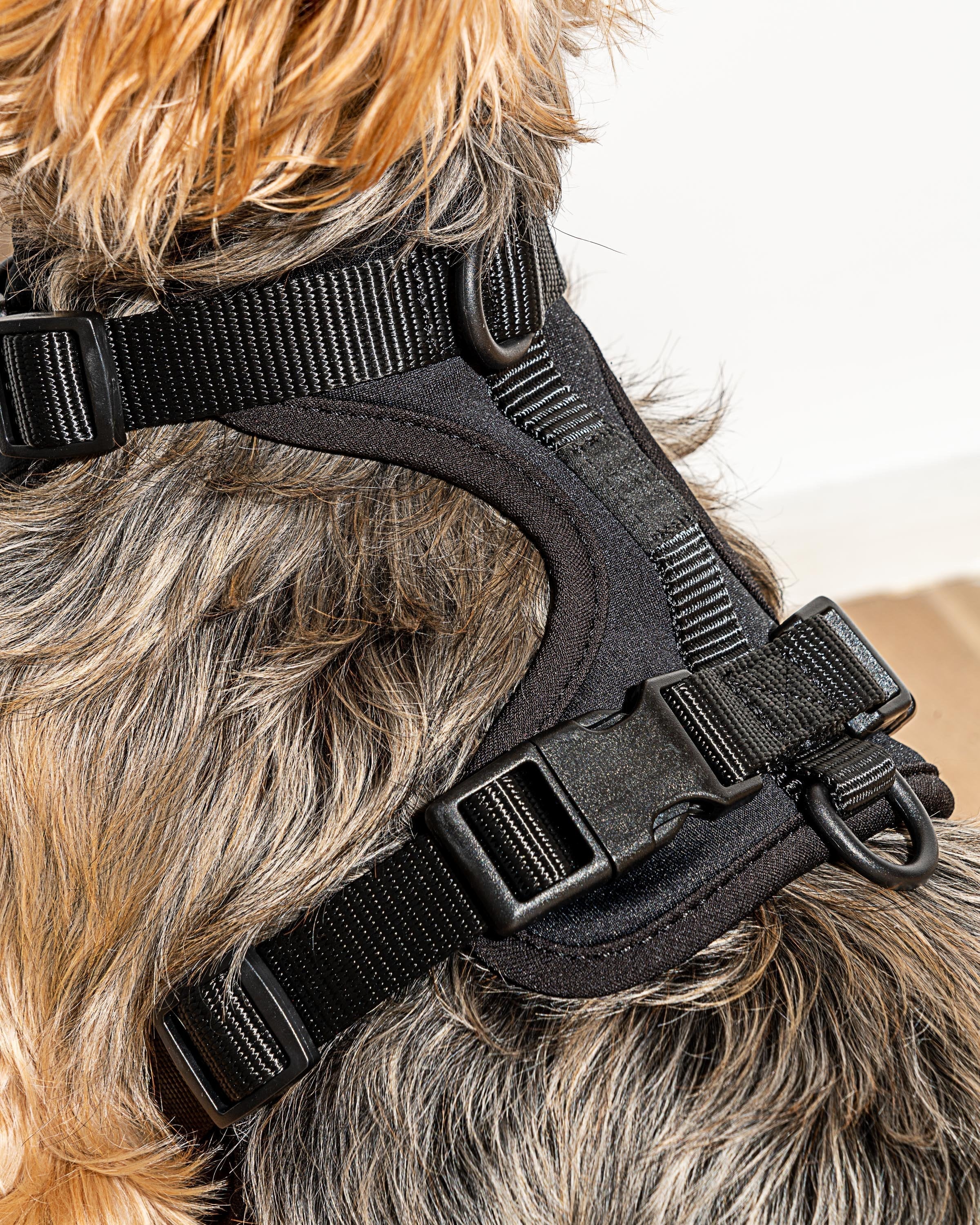 Cushioned Dog Harness - Image 65