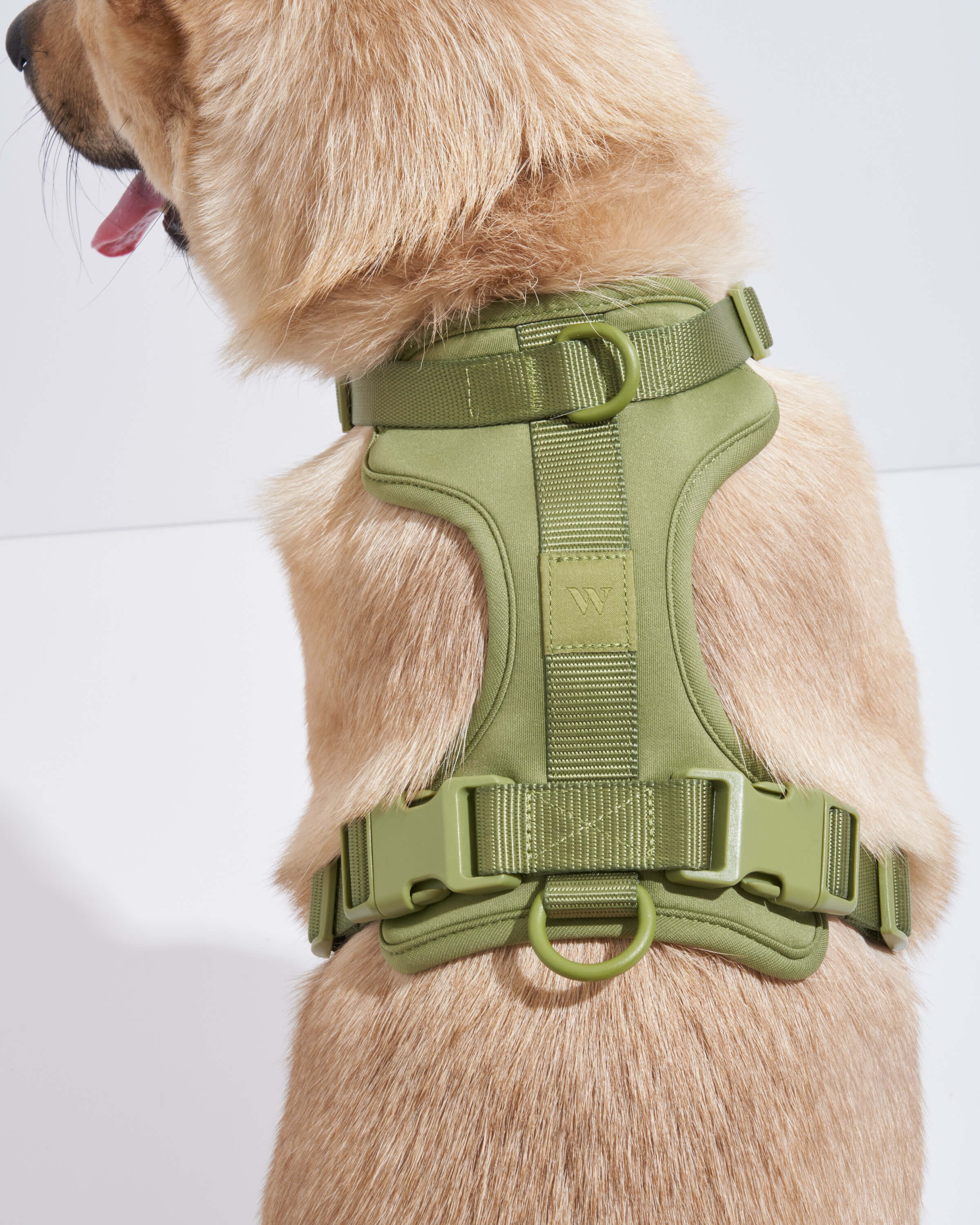 Cushioned Dog Harness - Image 69
