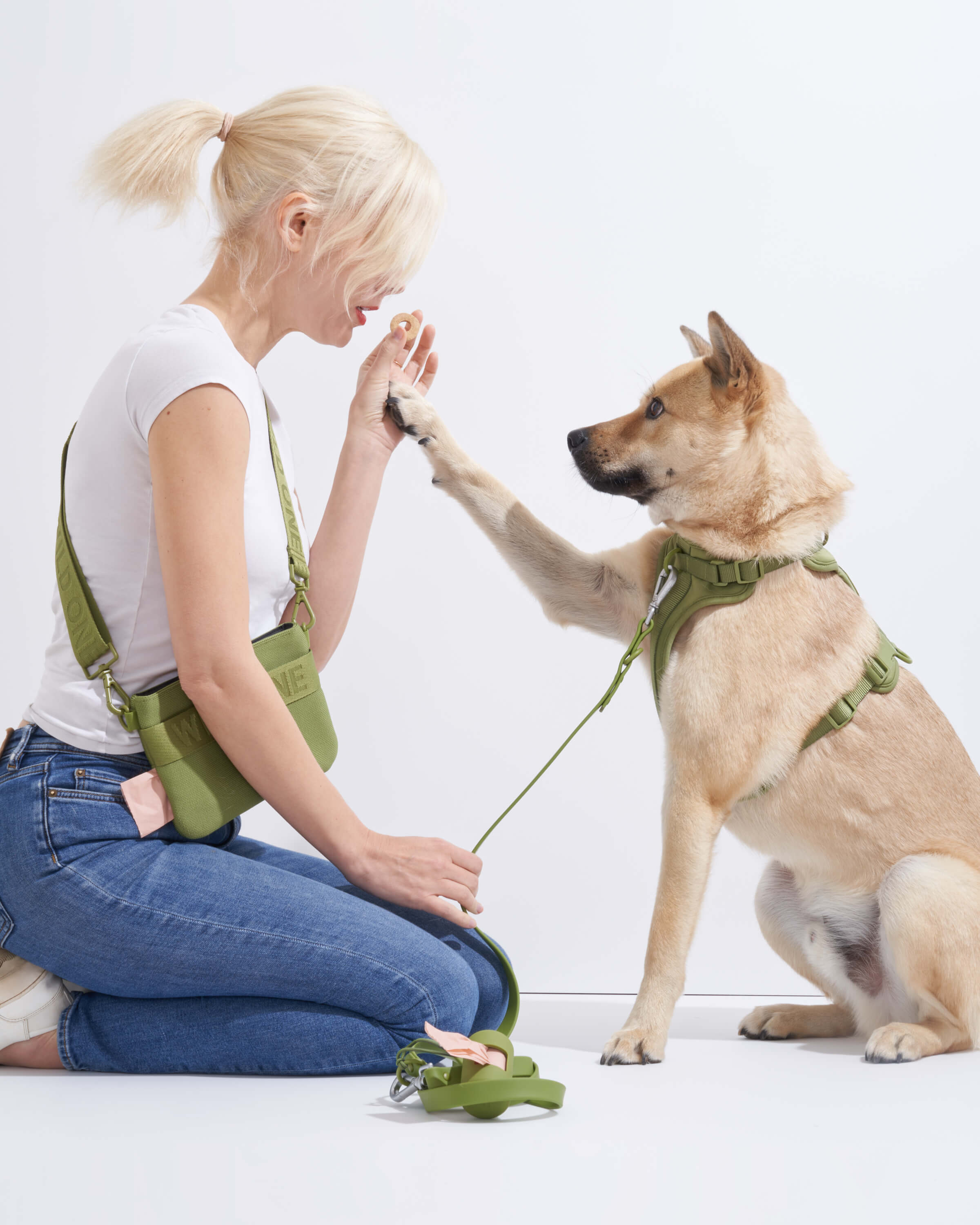 Cushioned Dog Harness - Image 70