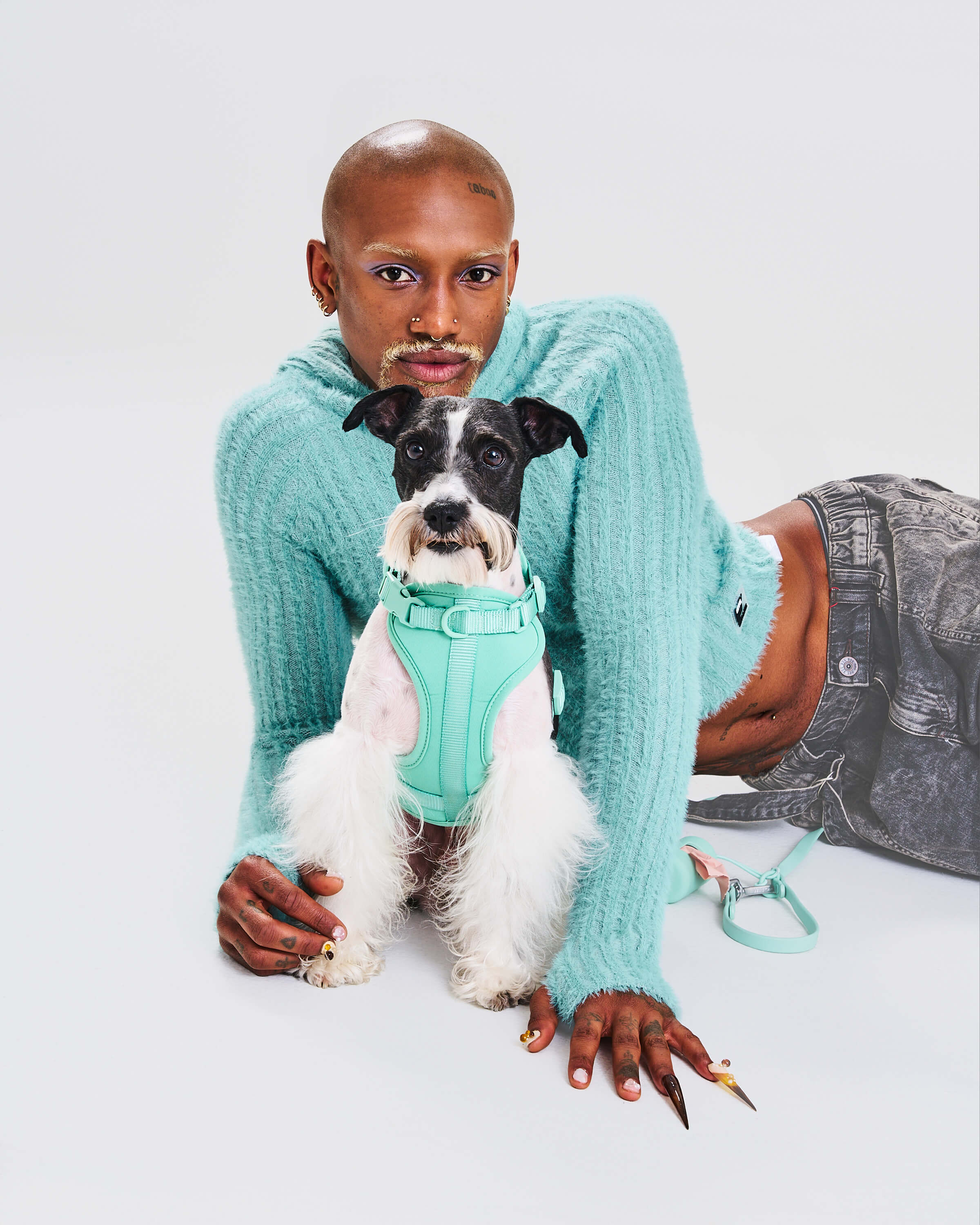 Cushioned Dog Harness - Image 75