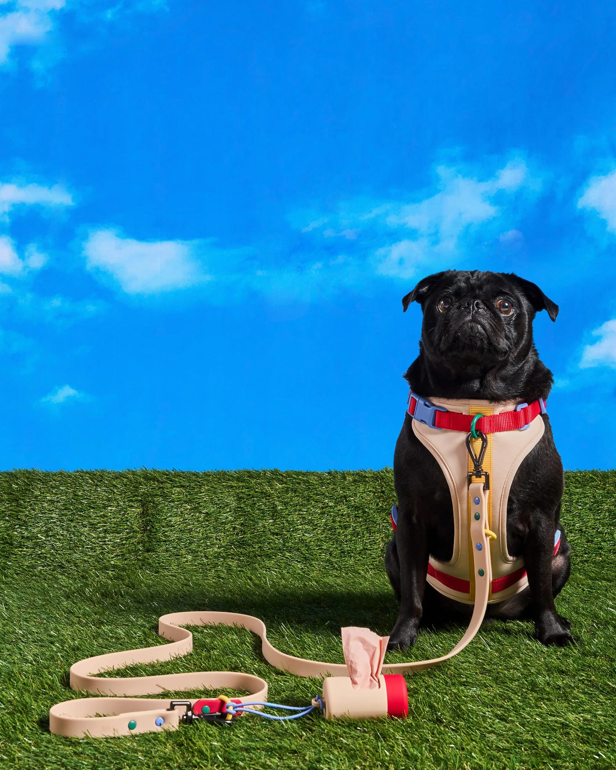 Cushioned Dog Harness - Image 78