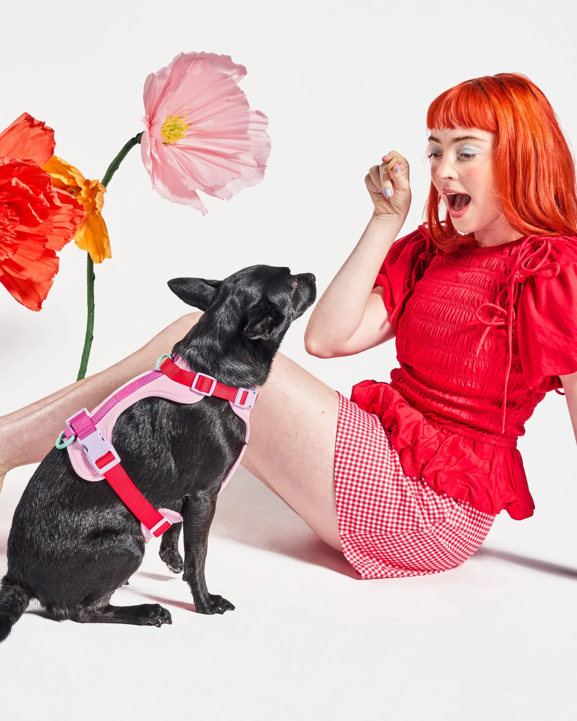 Cushioned Dog Harness - Image 80