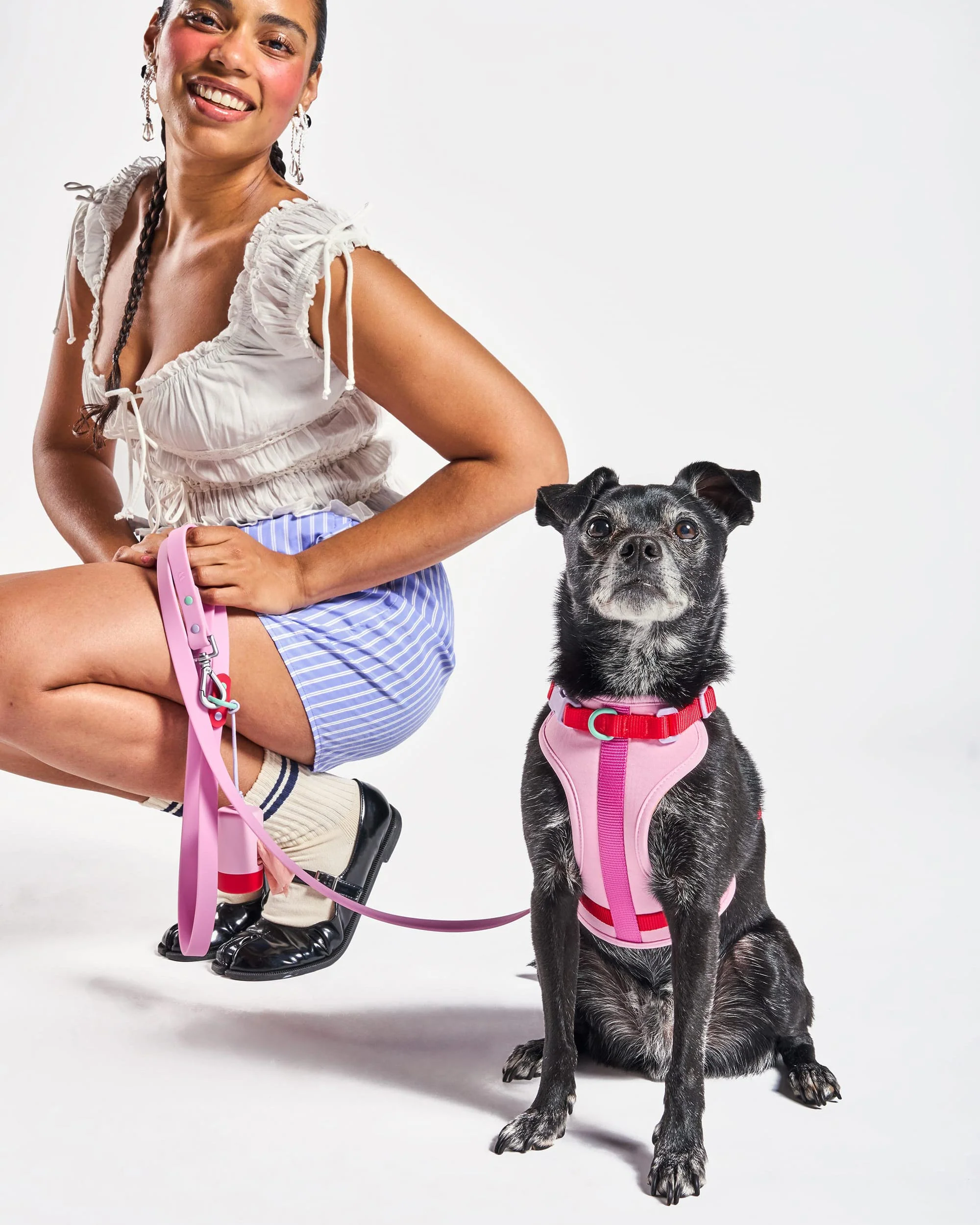 Cushioned Dog Harness - Image 81