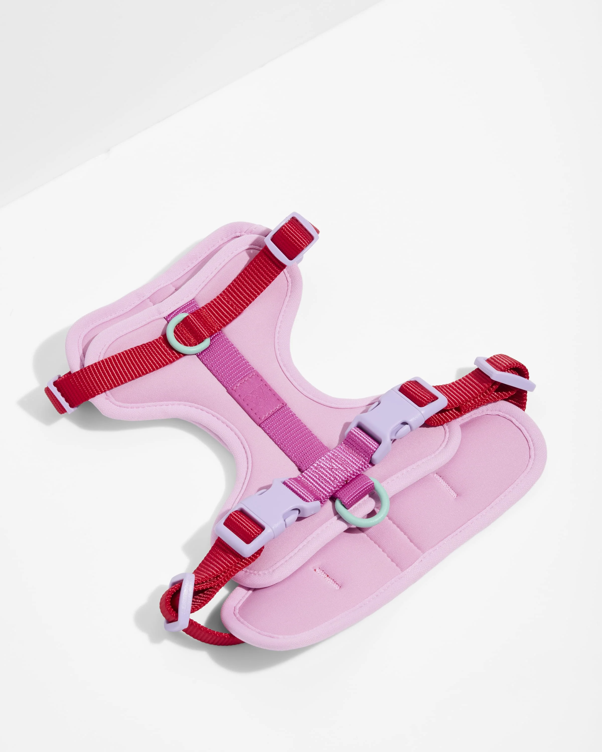 Cushioned Dog Harness - Image 83