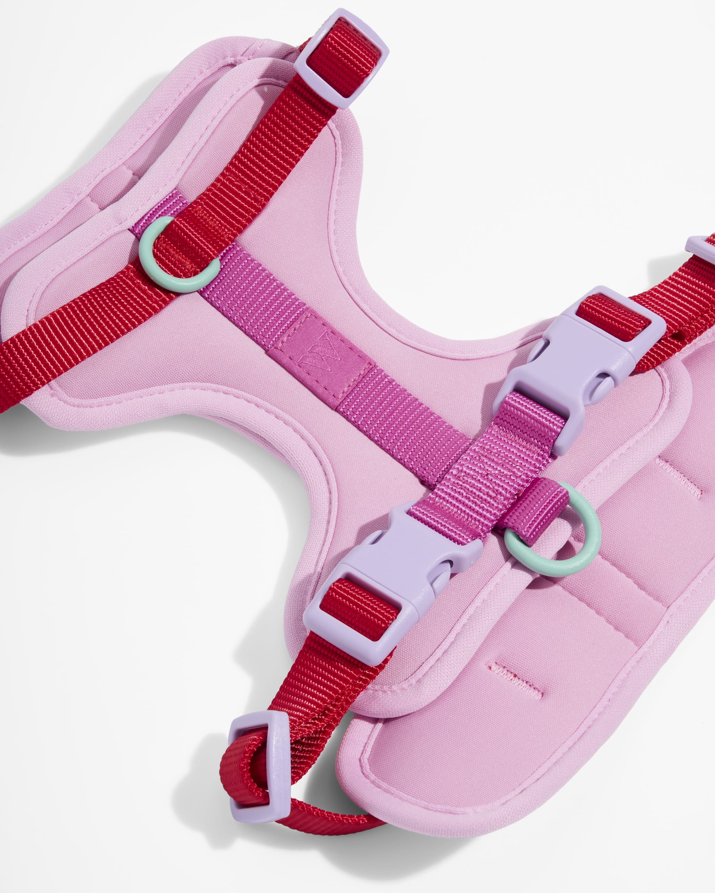 Cushioned Dog Harness - Image 84