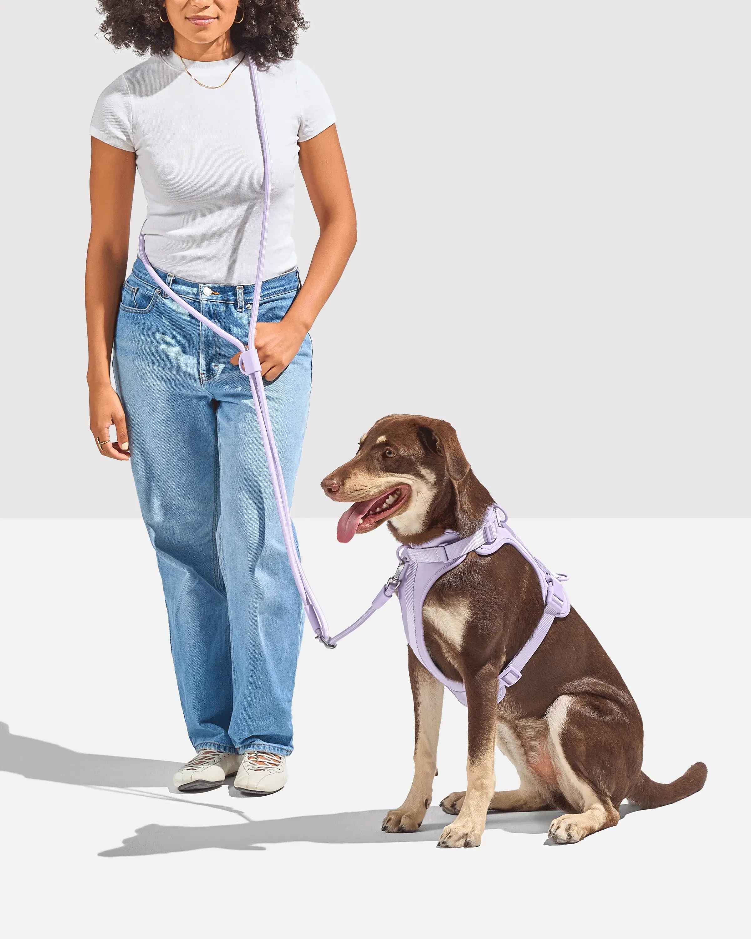 Cushioned Harness + Hands-Free Rope Leash Walk Kit - Image 4