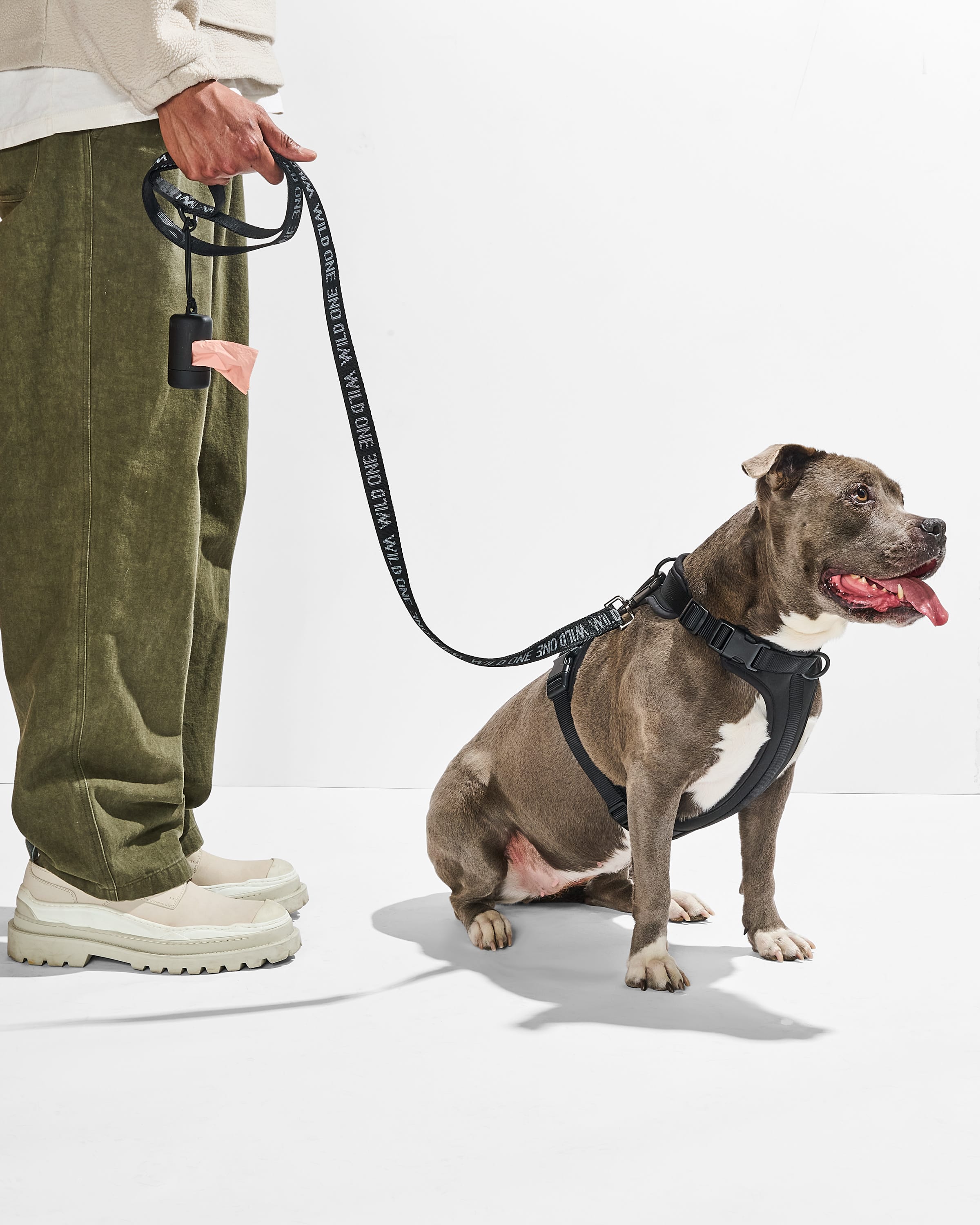 Cushioned Harness + Lightweight Leash Walk Kit - Image 3