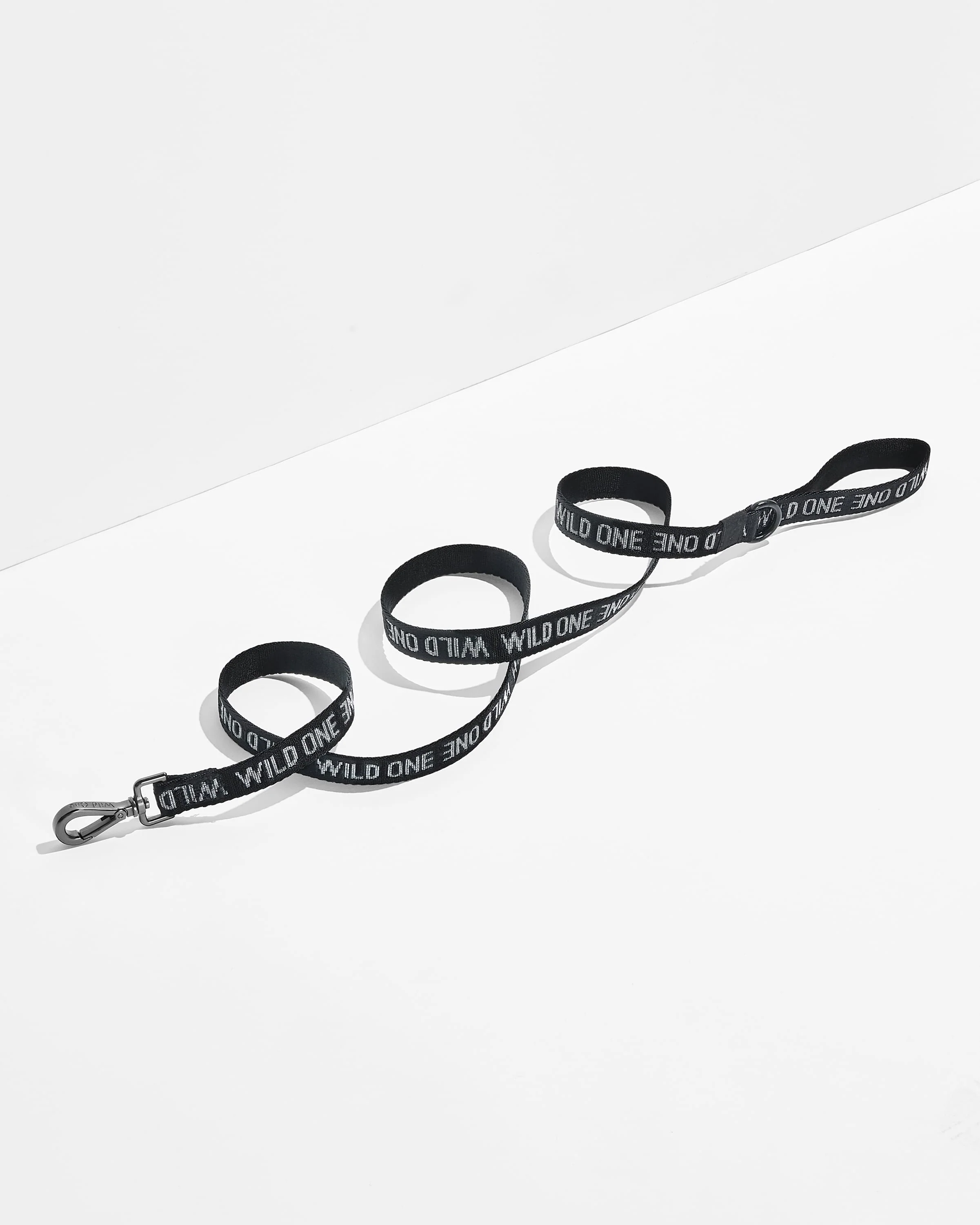 Cushioned Harness + Lightweight Leash Walk Kit - Image 5