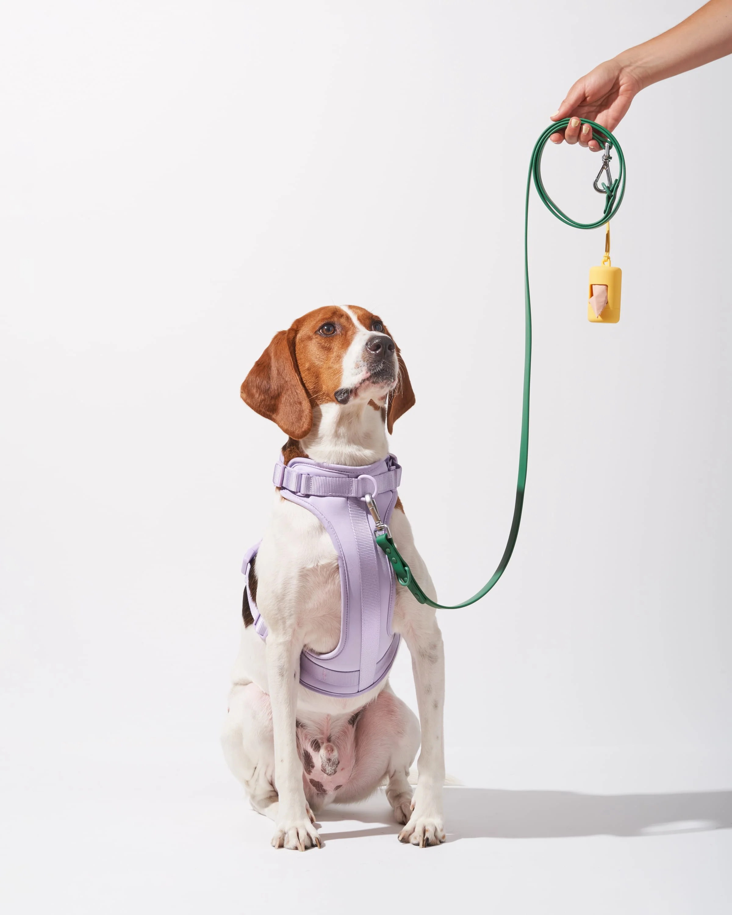 Cushioned Harness + Waterproof Leash Walk Kit - Image 5