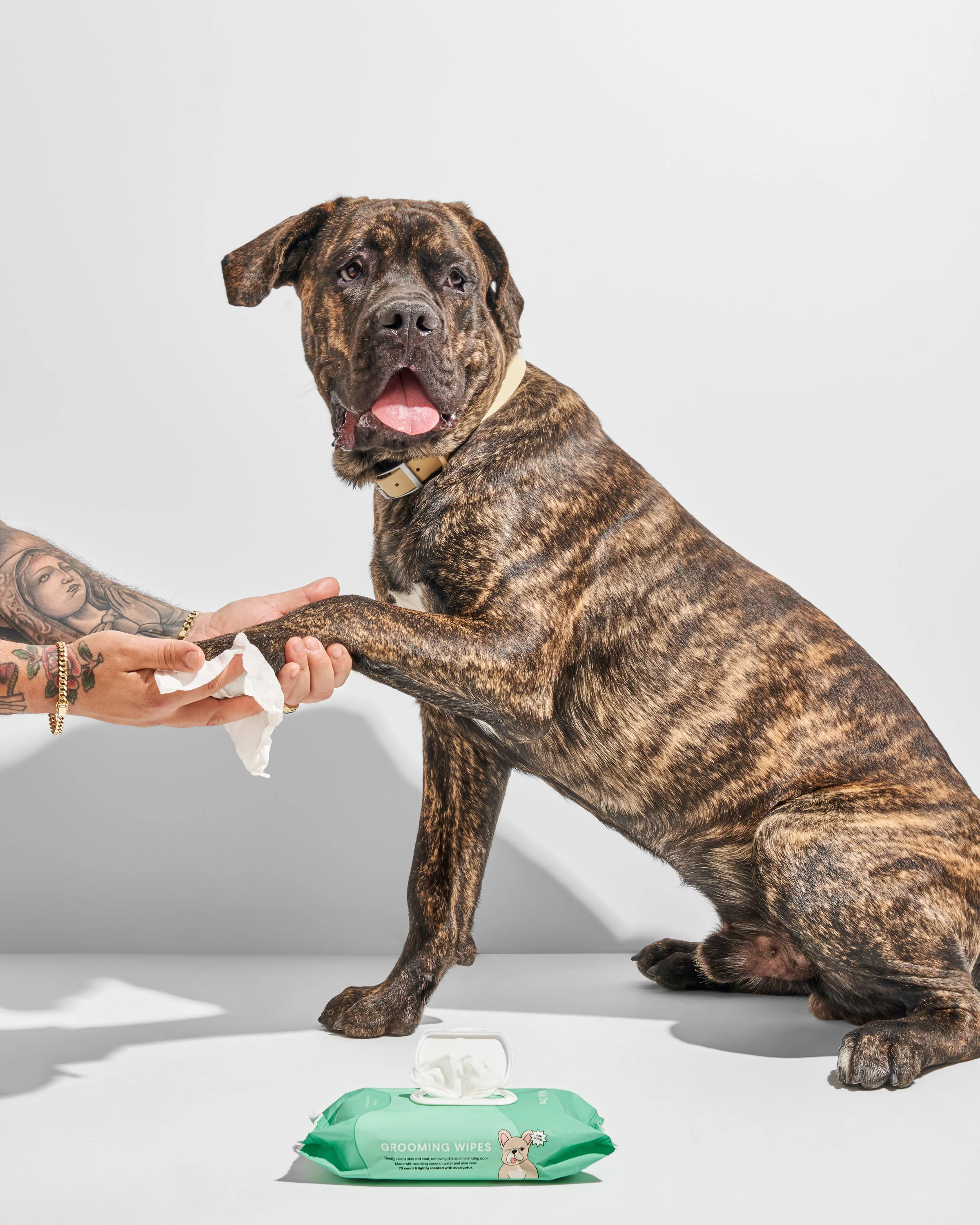 Dog Grooming Wipes - Image 3