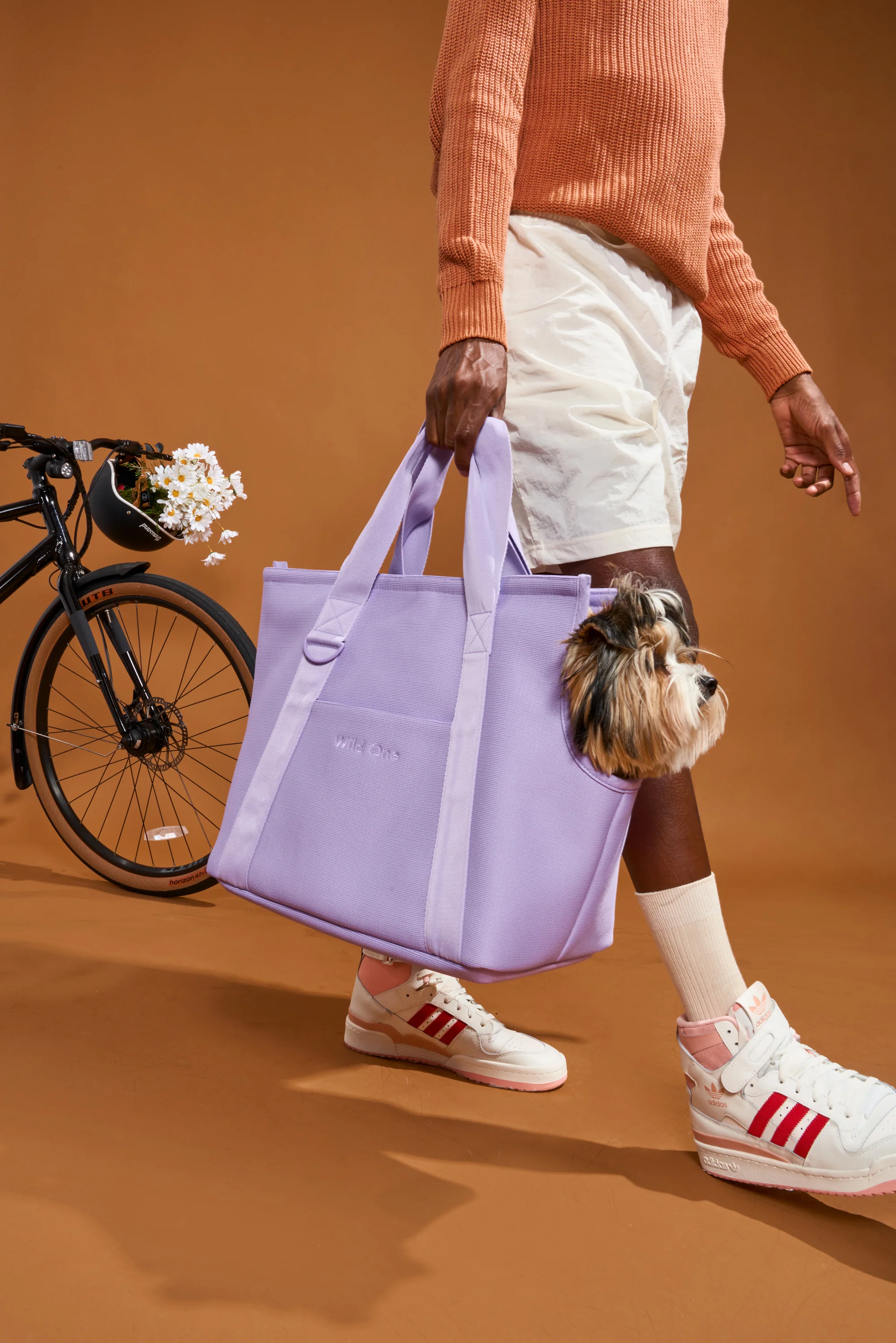 Everyday Carrier - Image 11