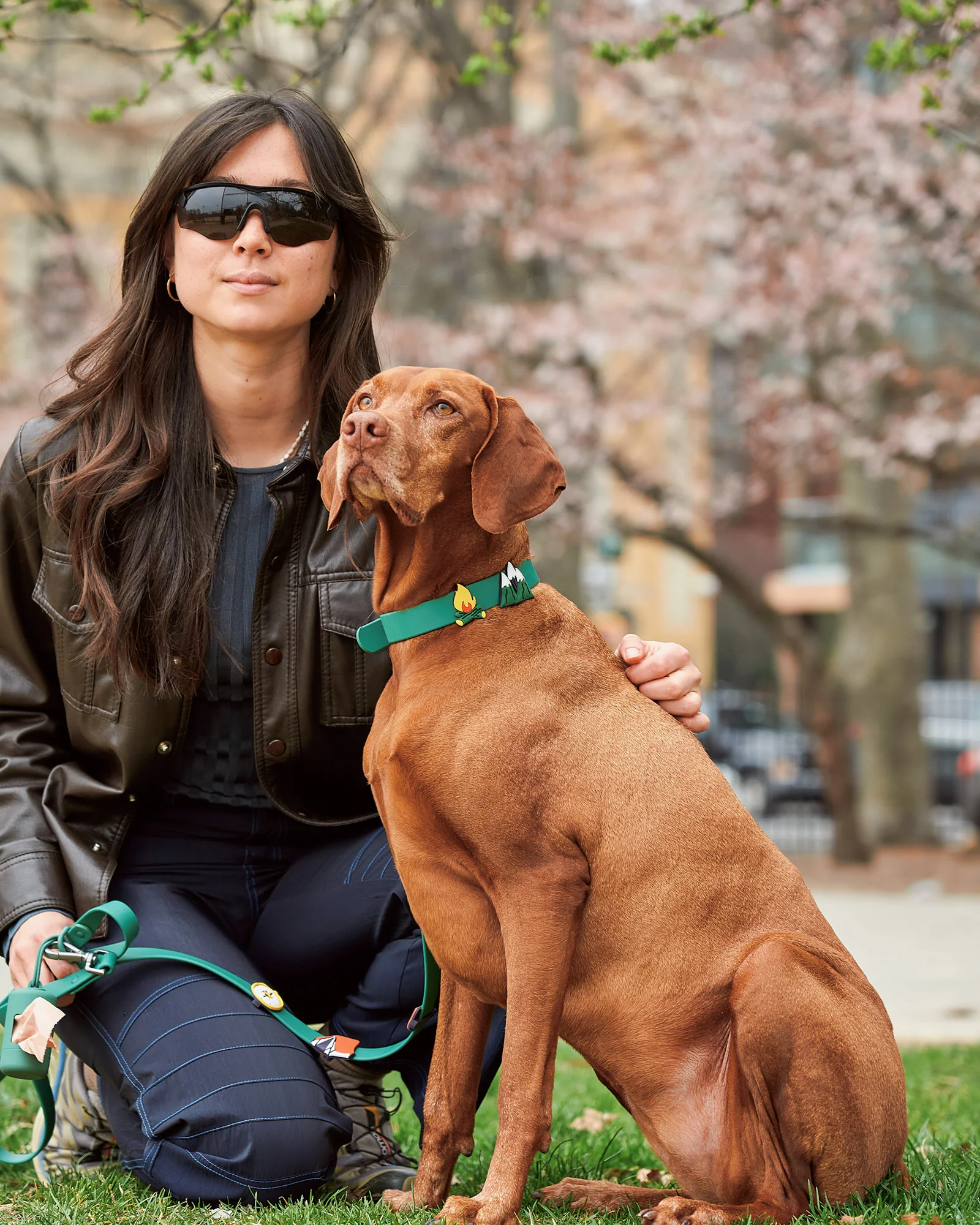 Flair Pack - Image 18