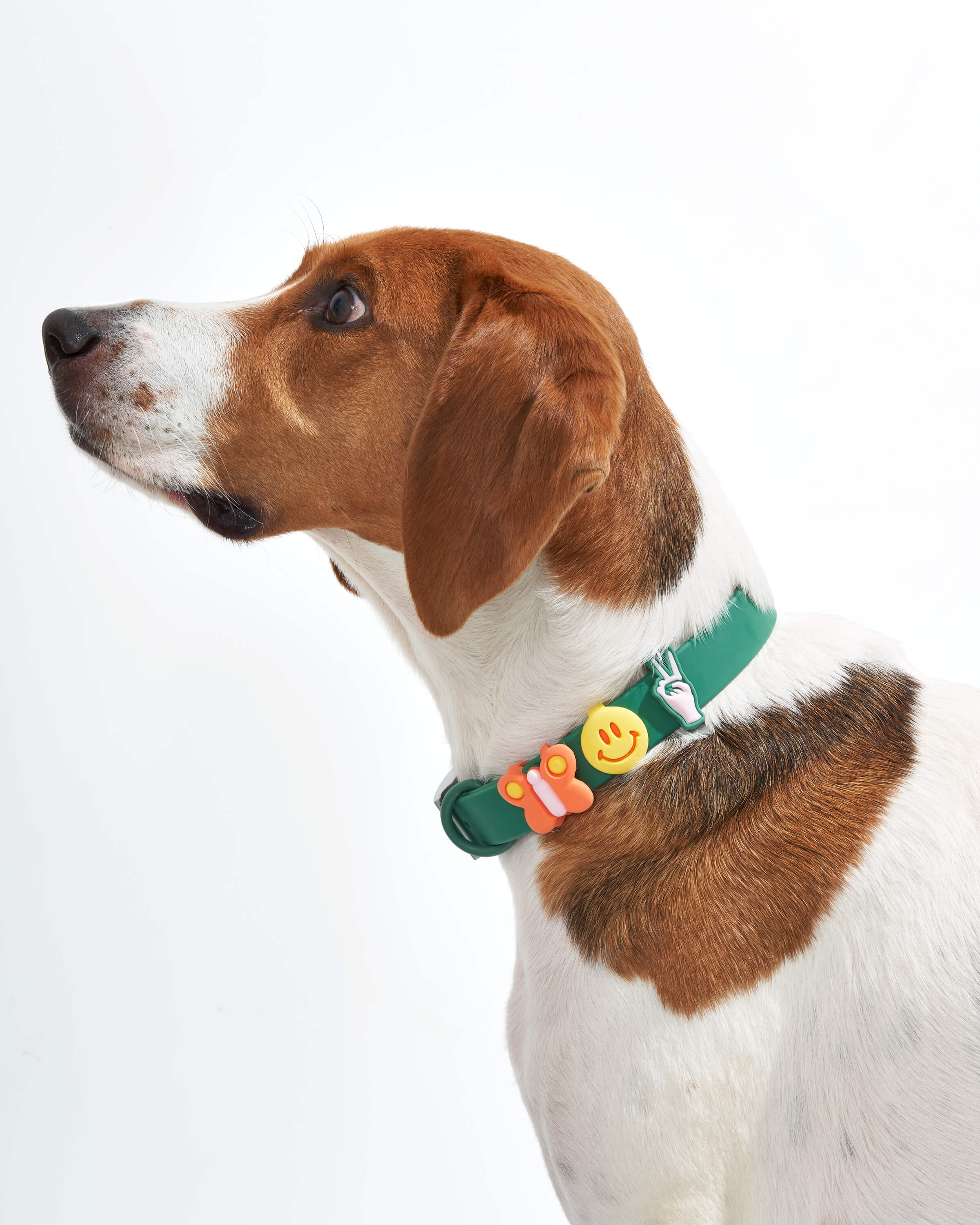 Flair Pack - Image 3