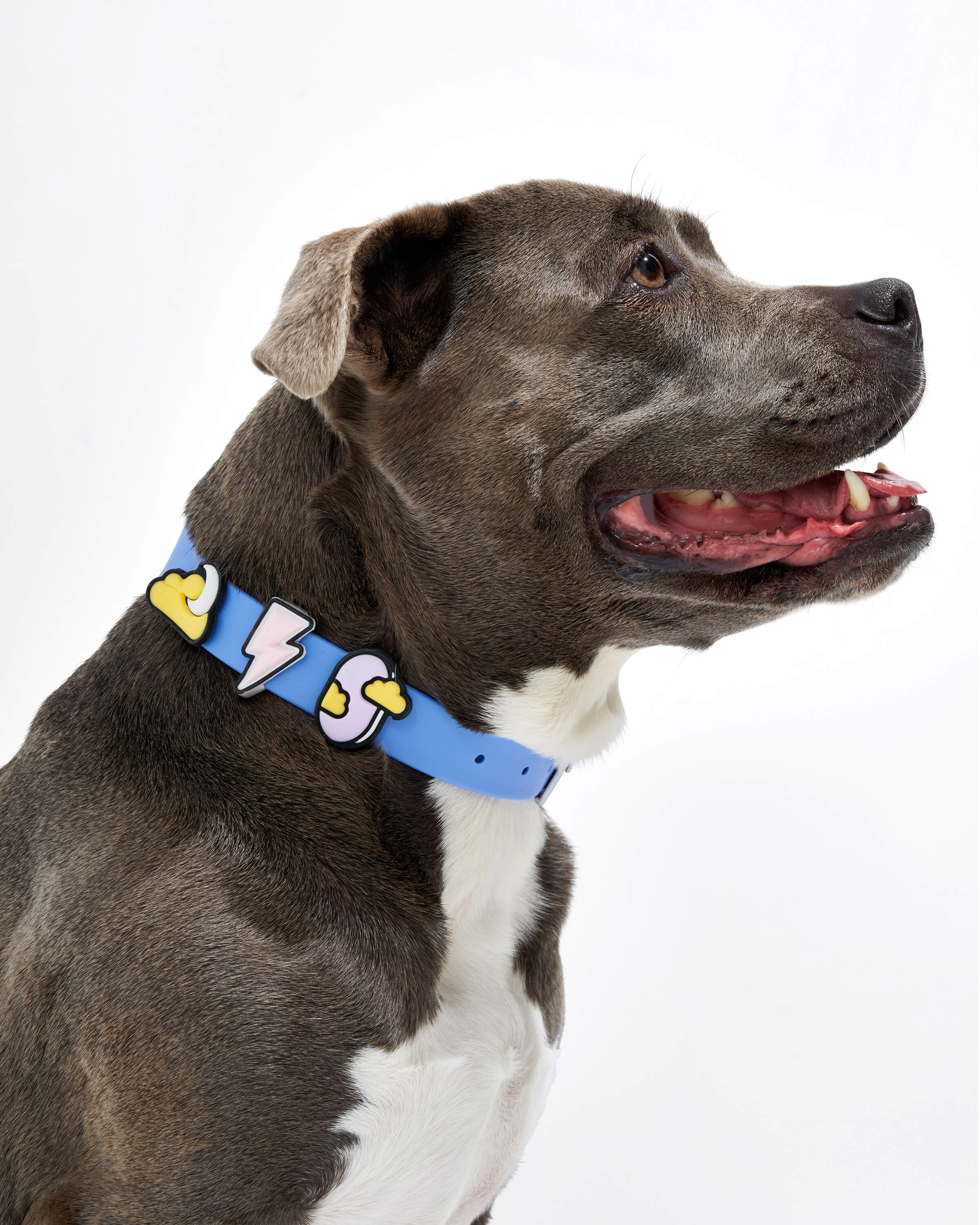 Flair Pack - Image 9