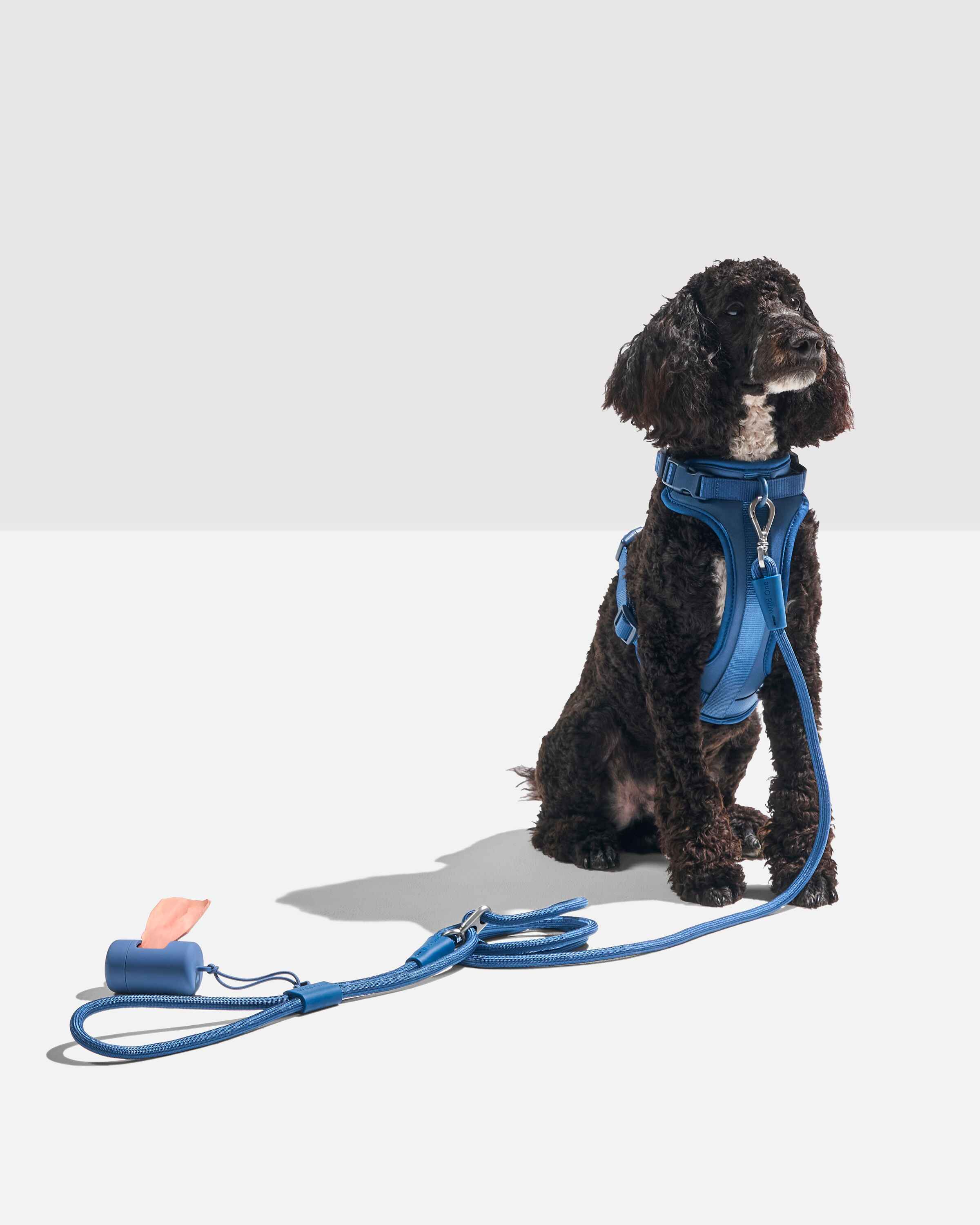 Hands-Free Rope Dog Leash - Image 17