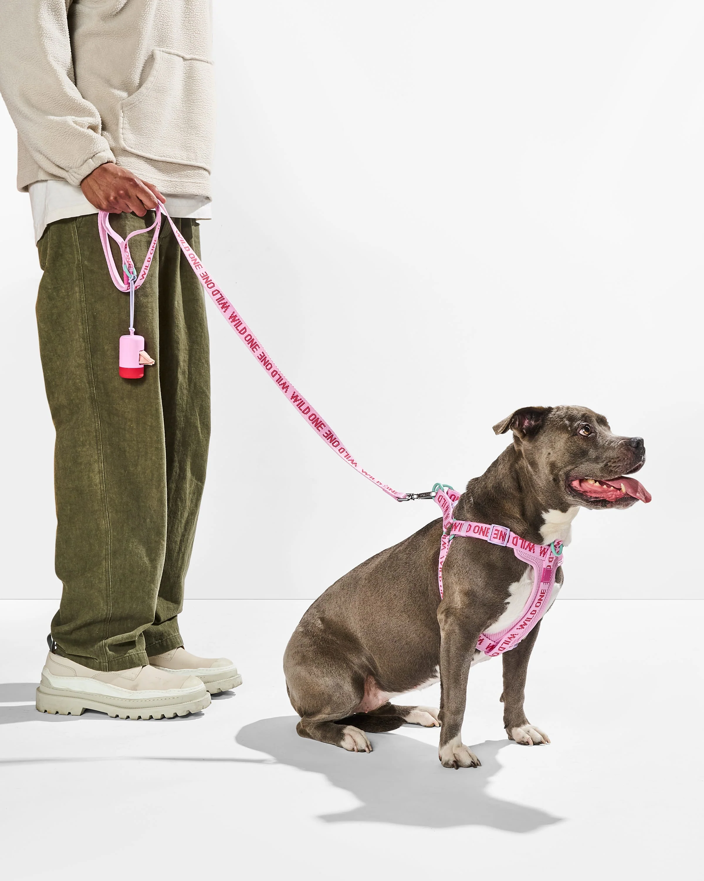 Lightweight Dog Leash - Image 12