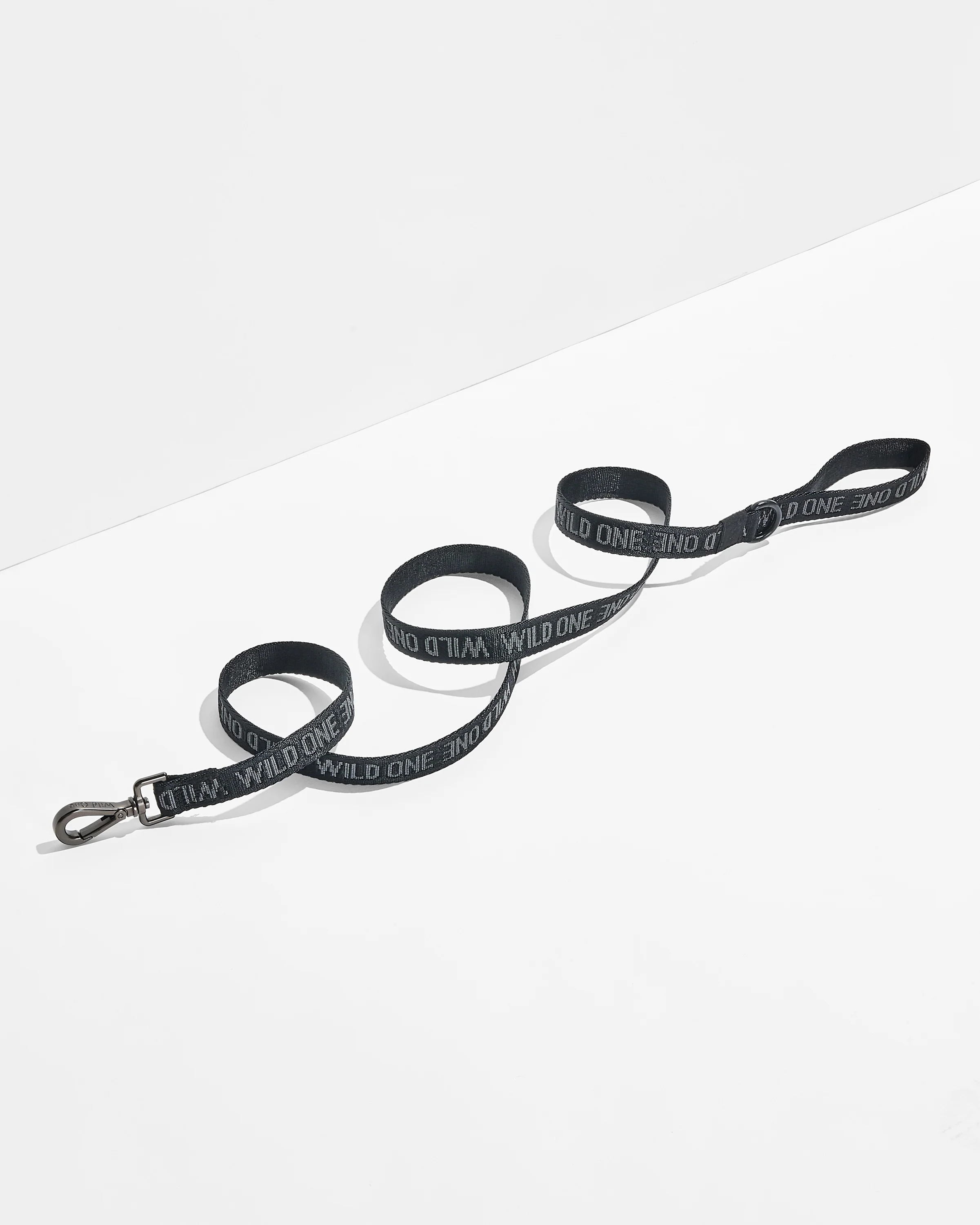 Lightweight Dog Leash - Image 13