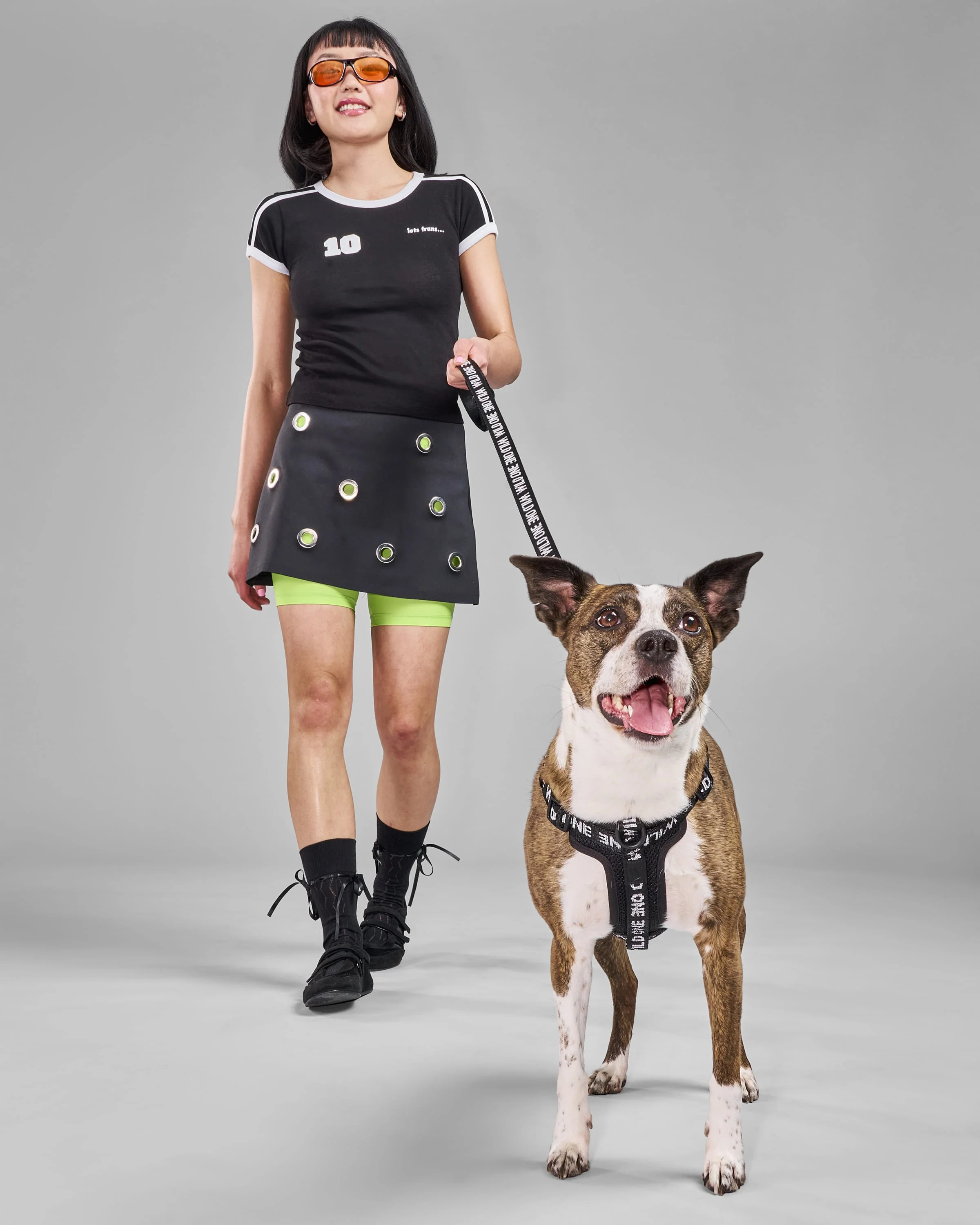 Lightweight Dog Leash - Image 18