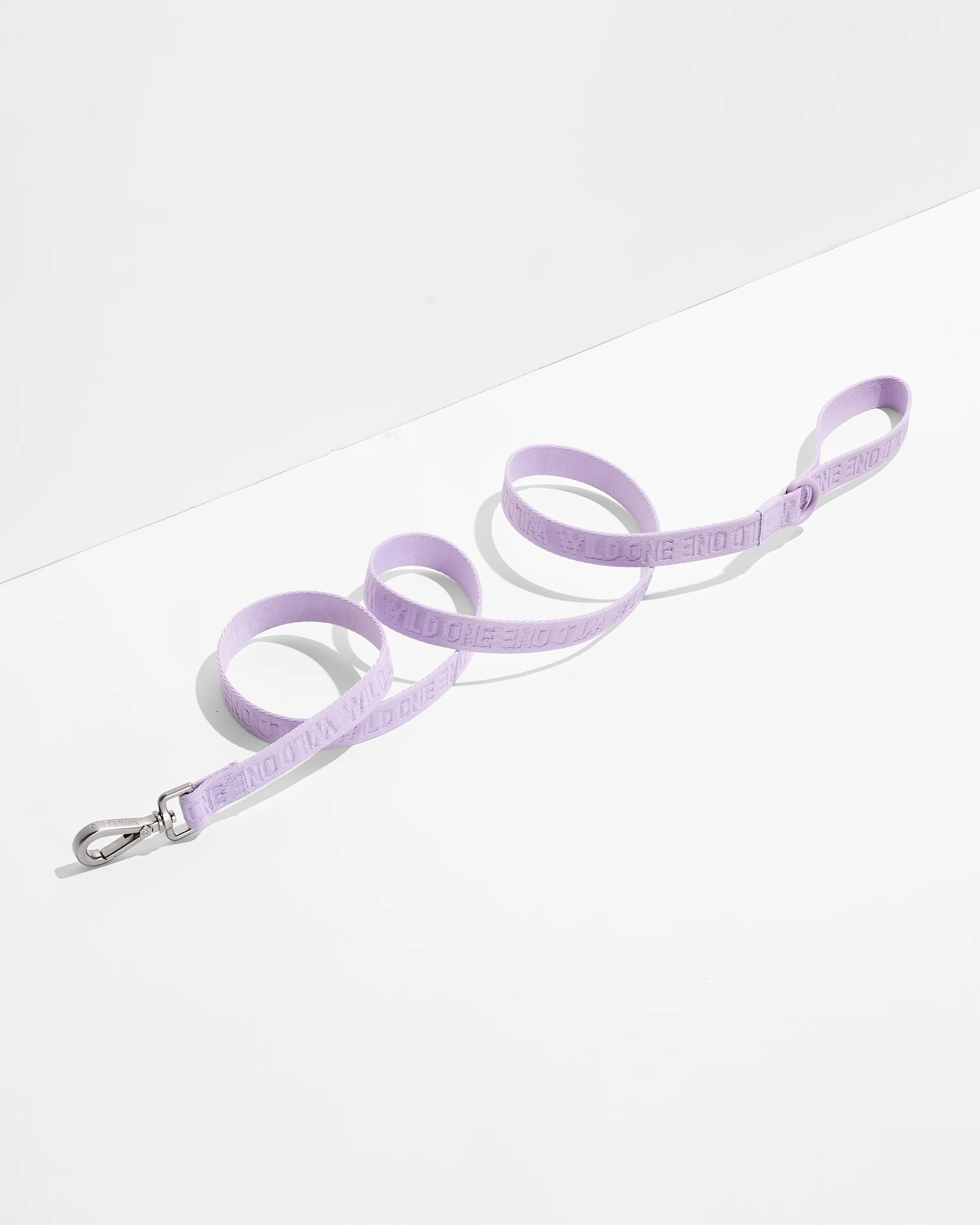 Lightweight Dog Leash - Image 19
