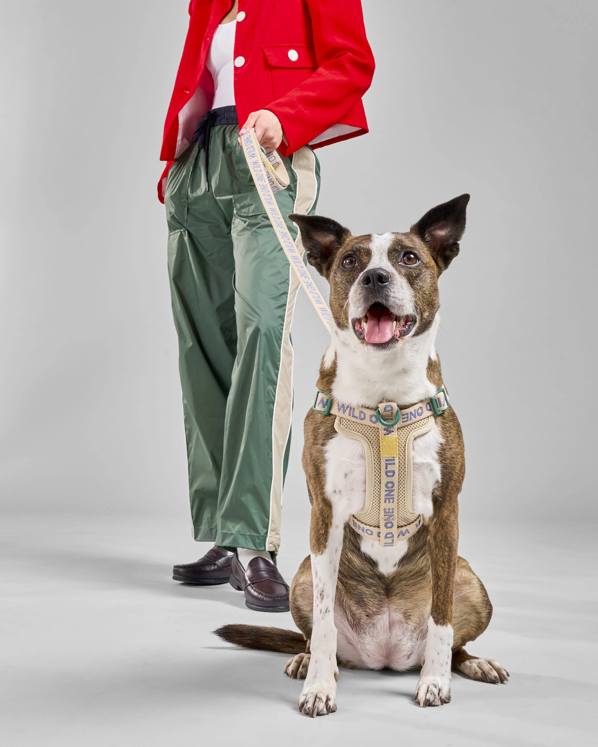 Lightweight Dog Leash - Image 3