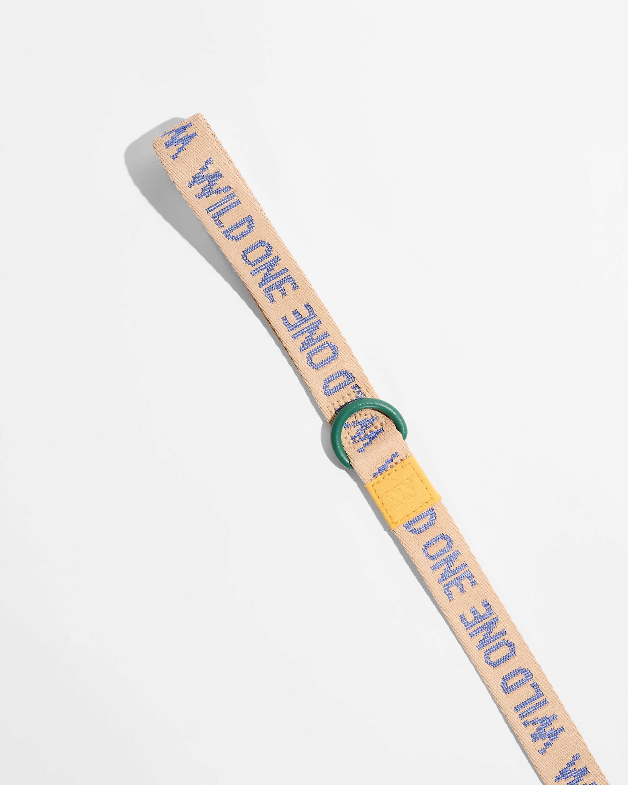 Lightweight Dog Leash - Image 4