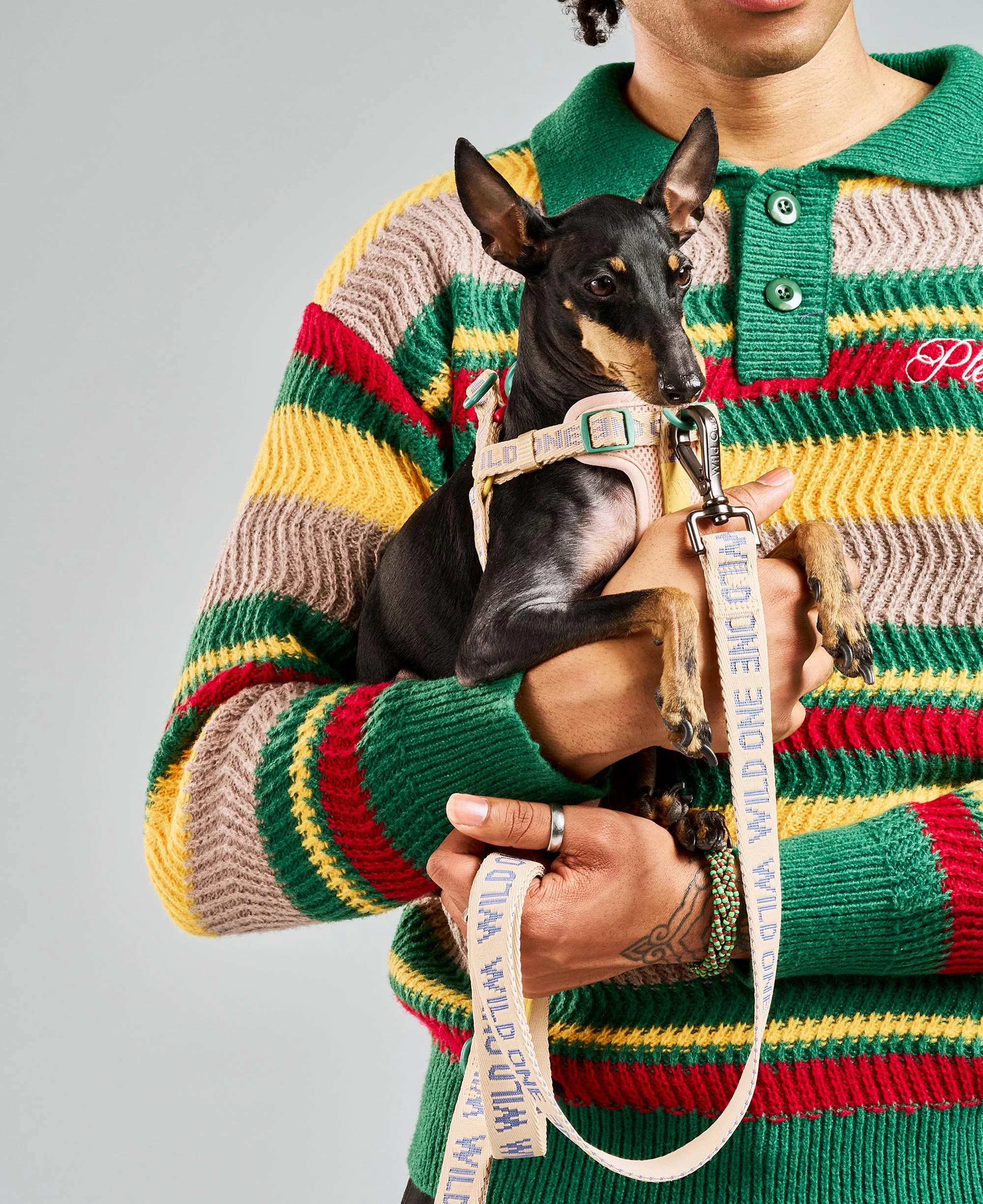 Lightweight Dog Leash - Image 6