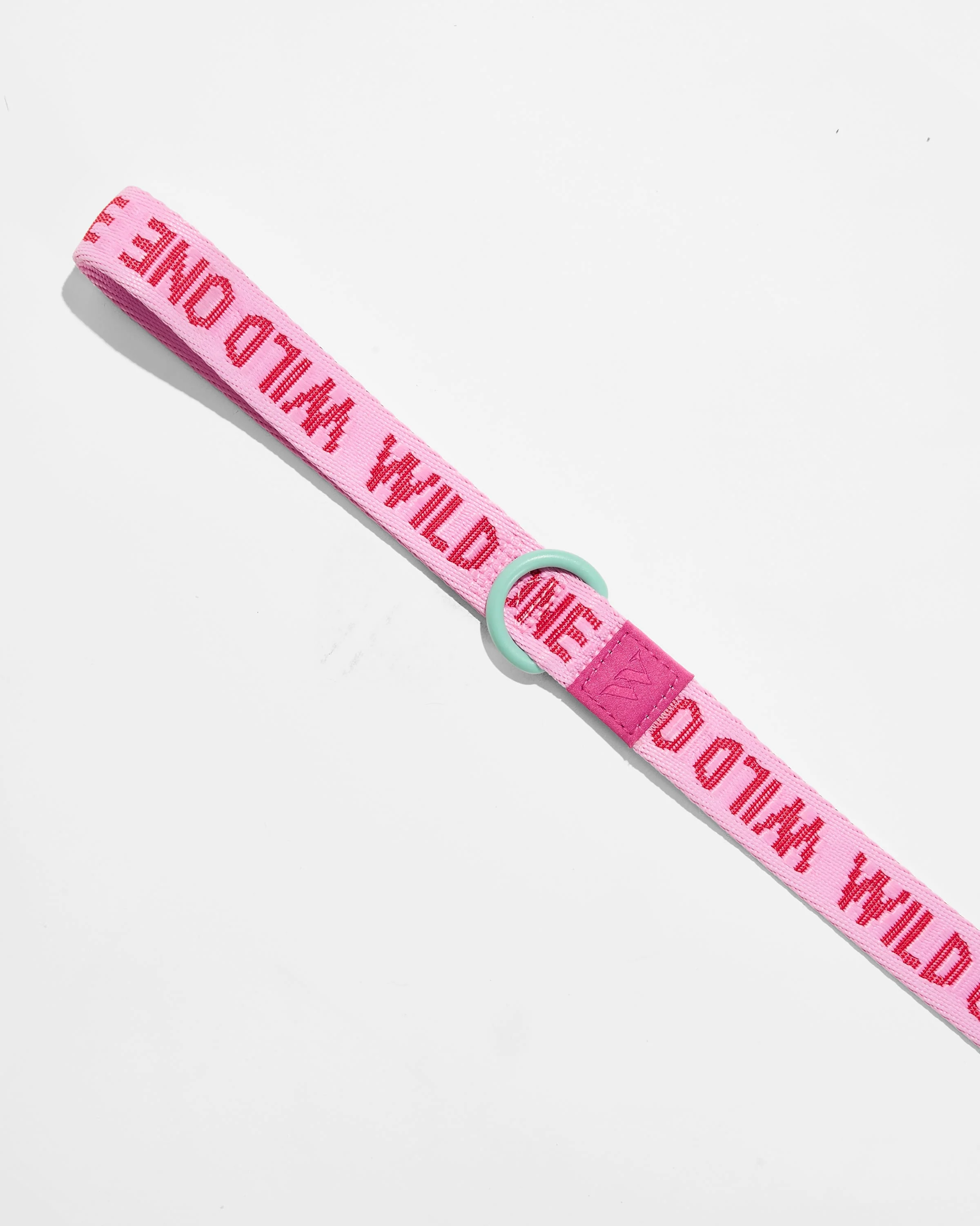 Lightweight Dog Leash - Image 9