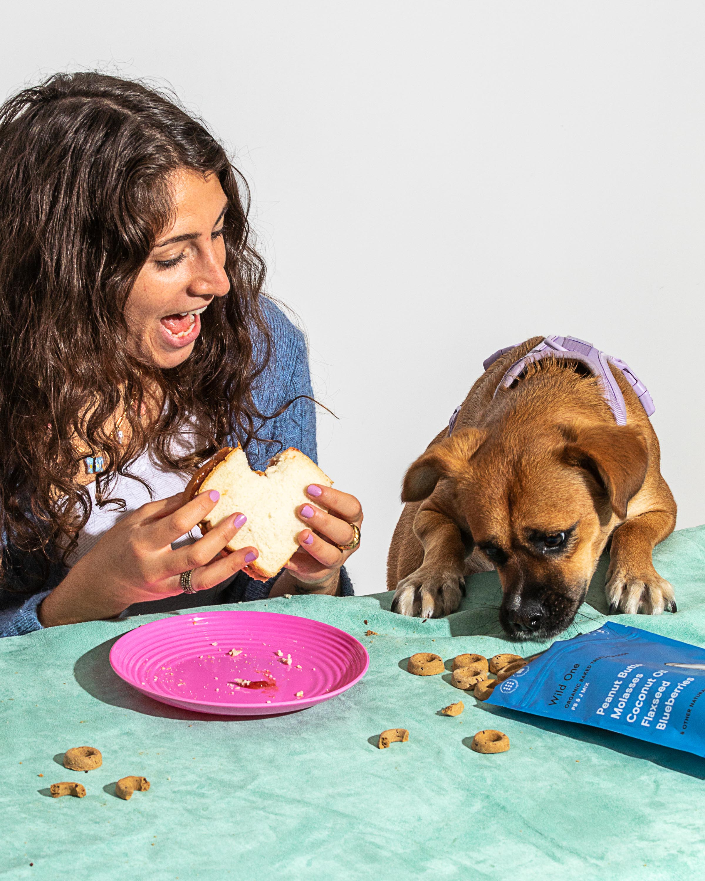 Organic Baked Treats - Image 16